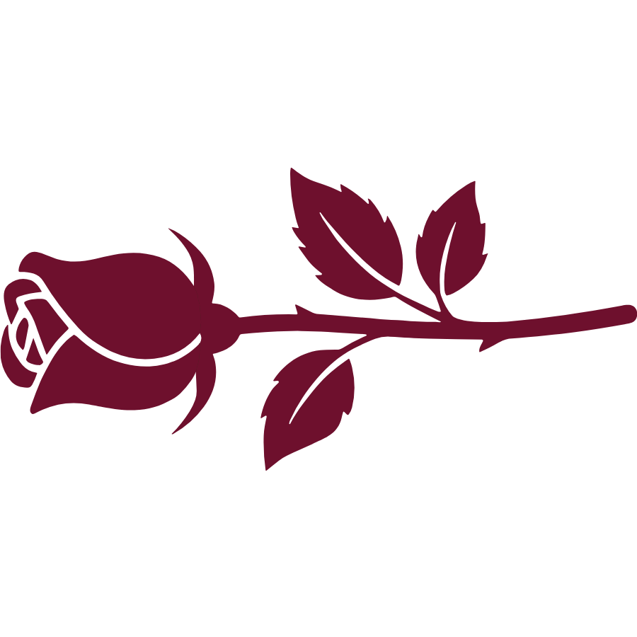 A rose lays on its side