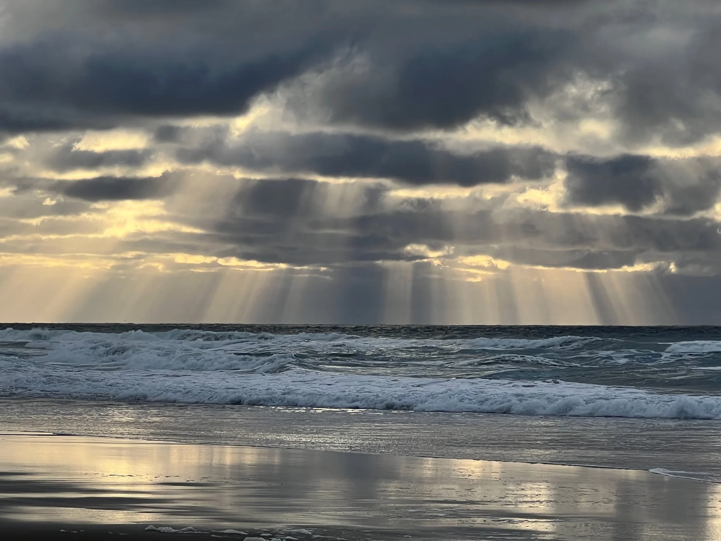 IMG_0108 LO RES.jpeg