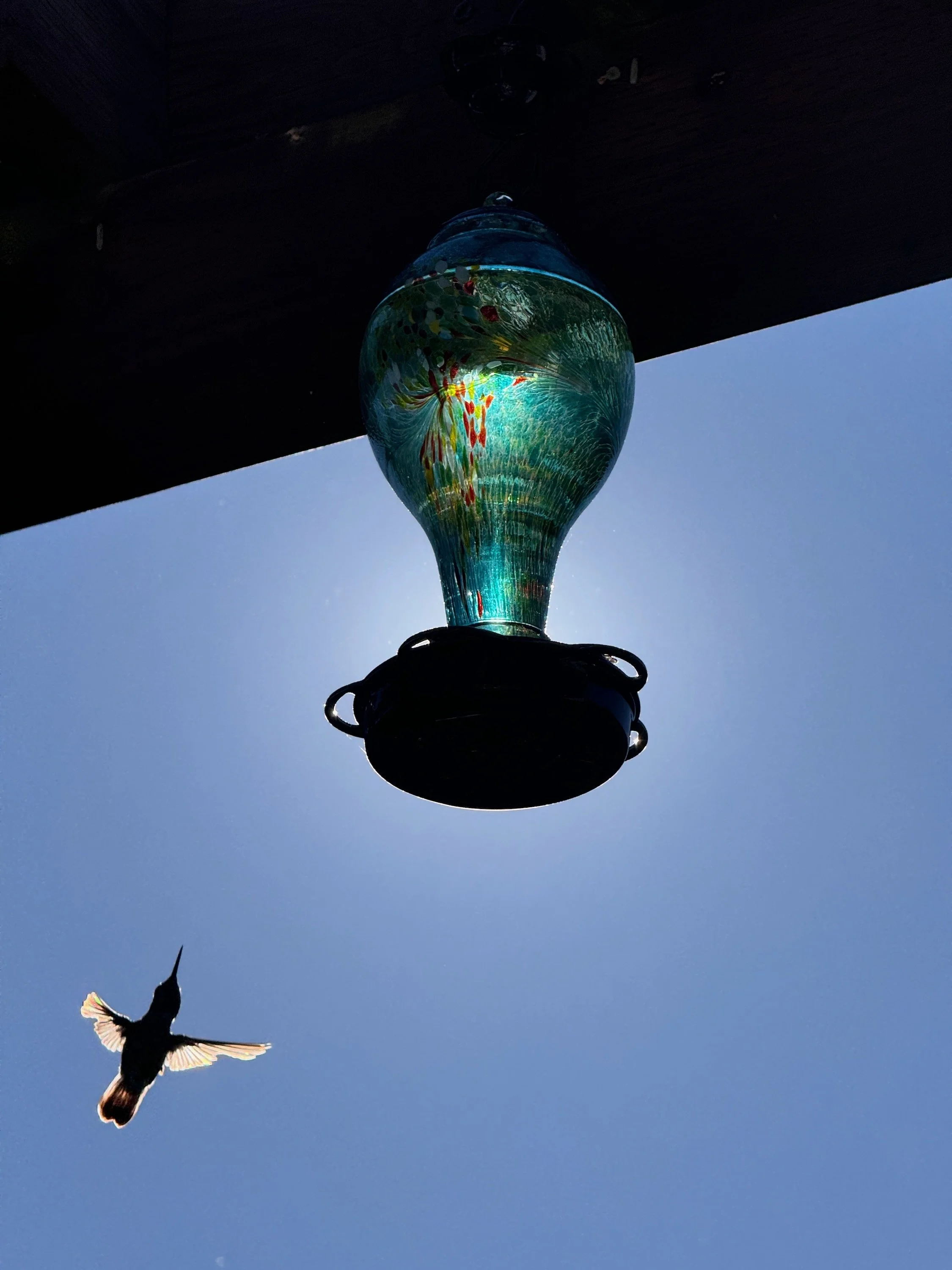 IMG_3381 LO RES.jpeg