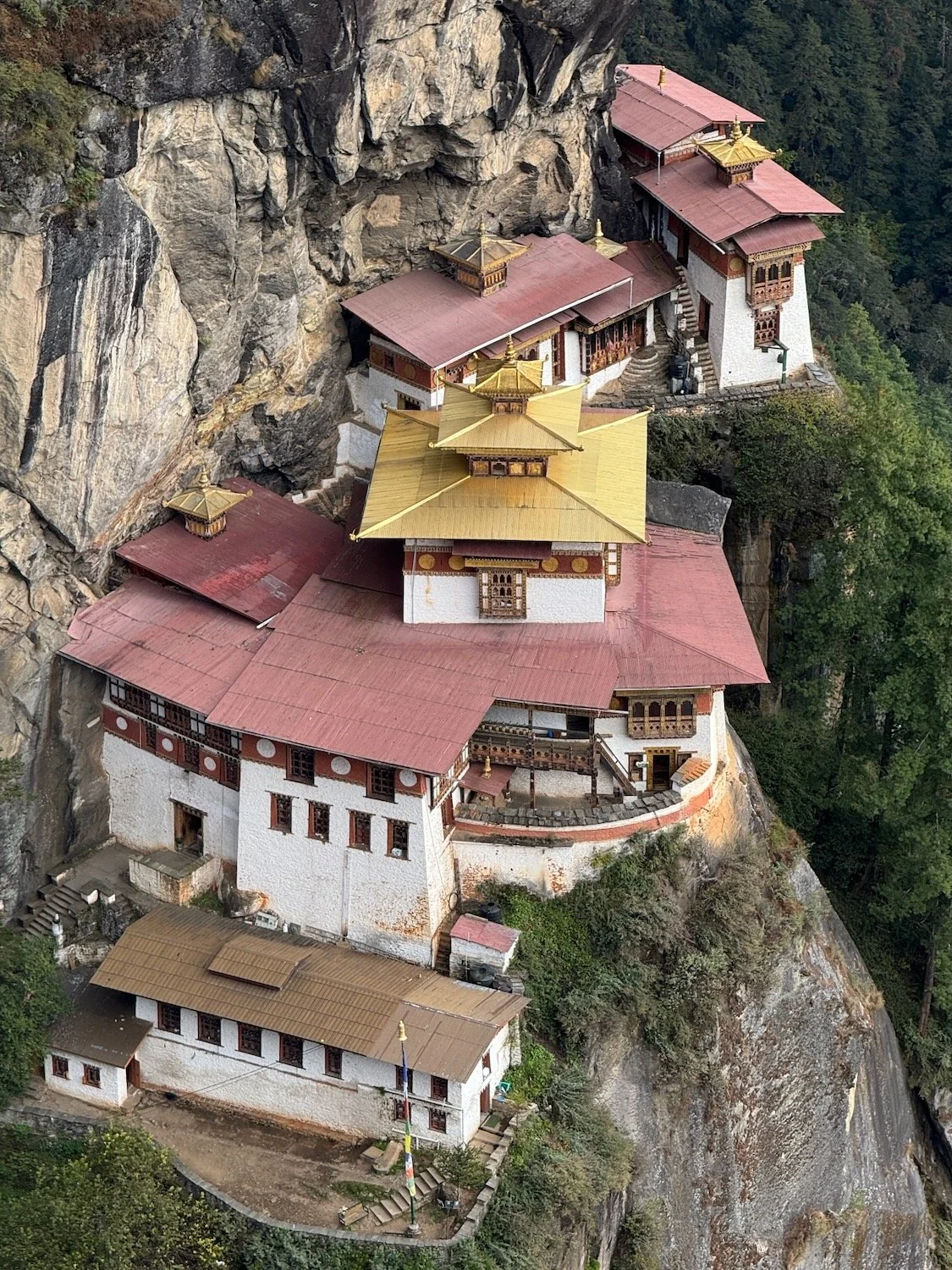 IMG_6767 LO RES.jpeg