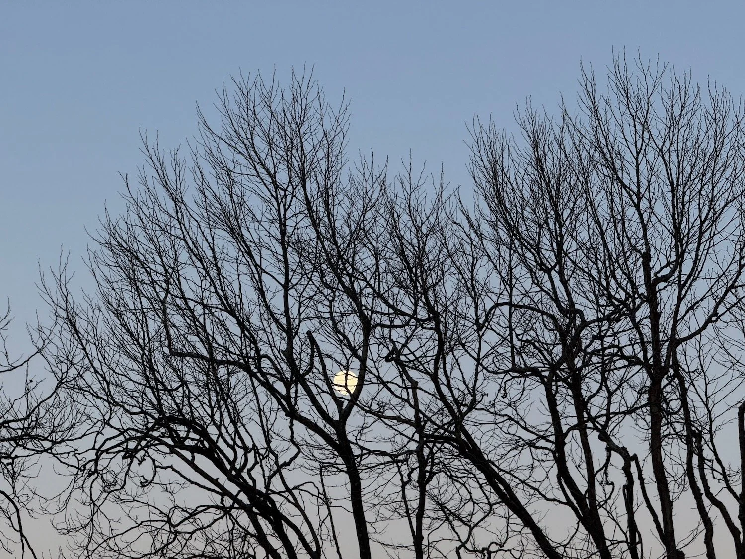 IMG_8513 LO RES.jpeg