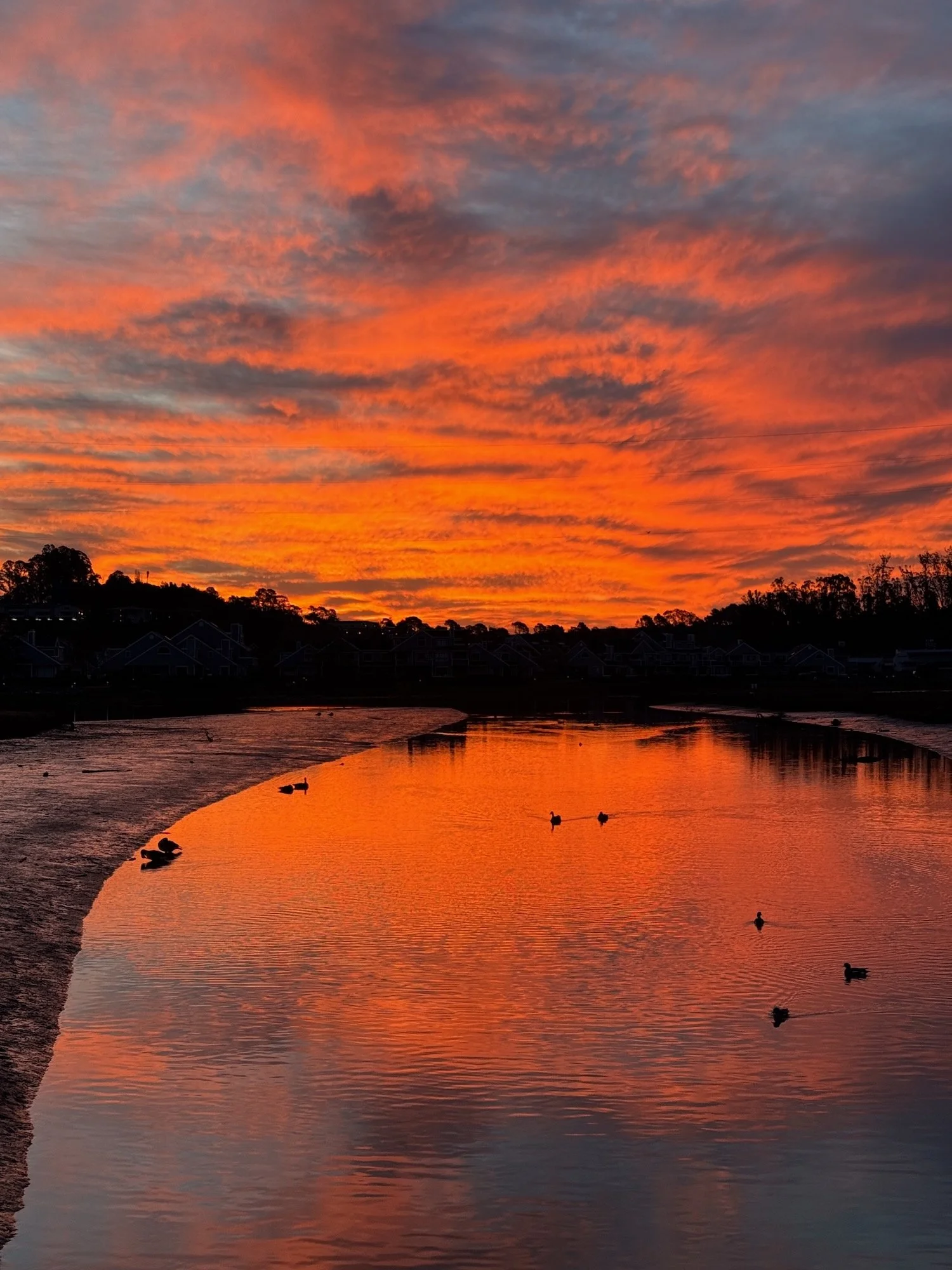 IMG_9157 LO RES.jpeg