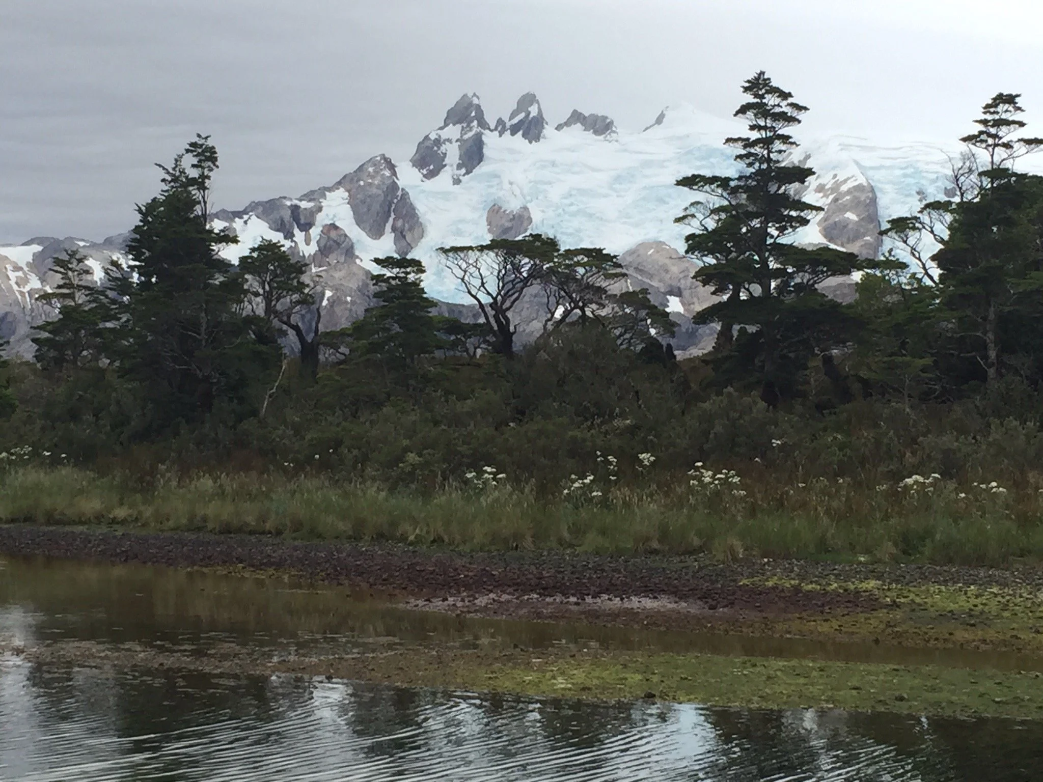 Photo Feb 01-2 LO RES.jpeg