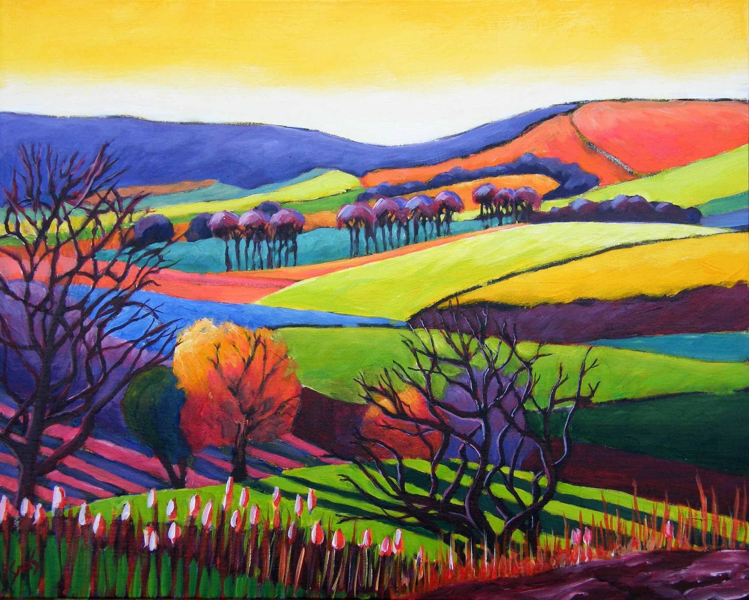 Bransdale from Cockayne, II.JPG