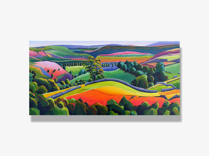 Birk Hill, Keld