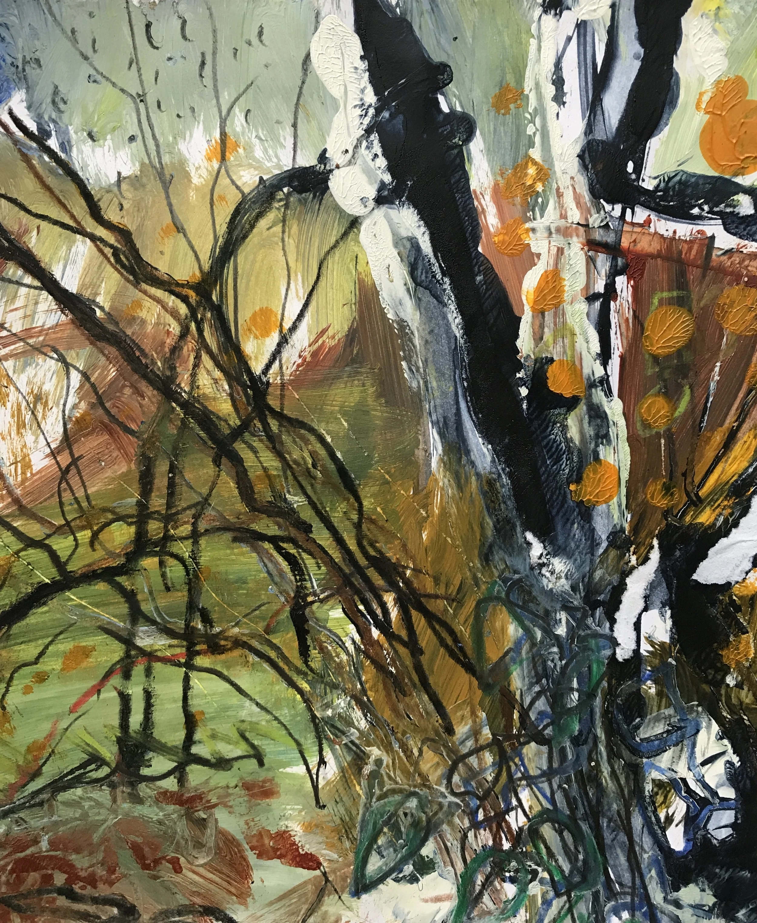 Autumn Walk