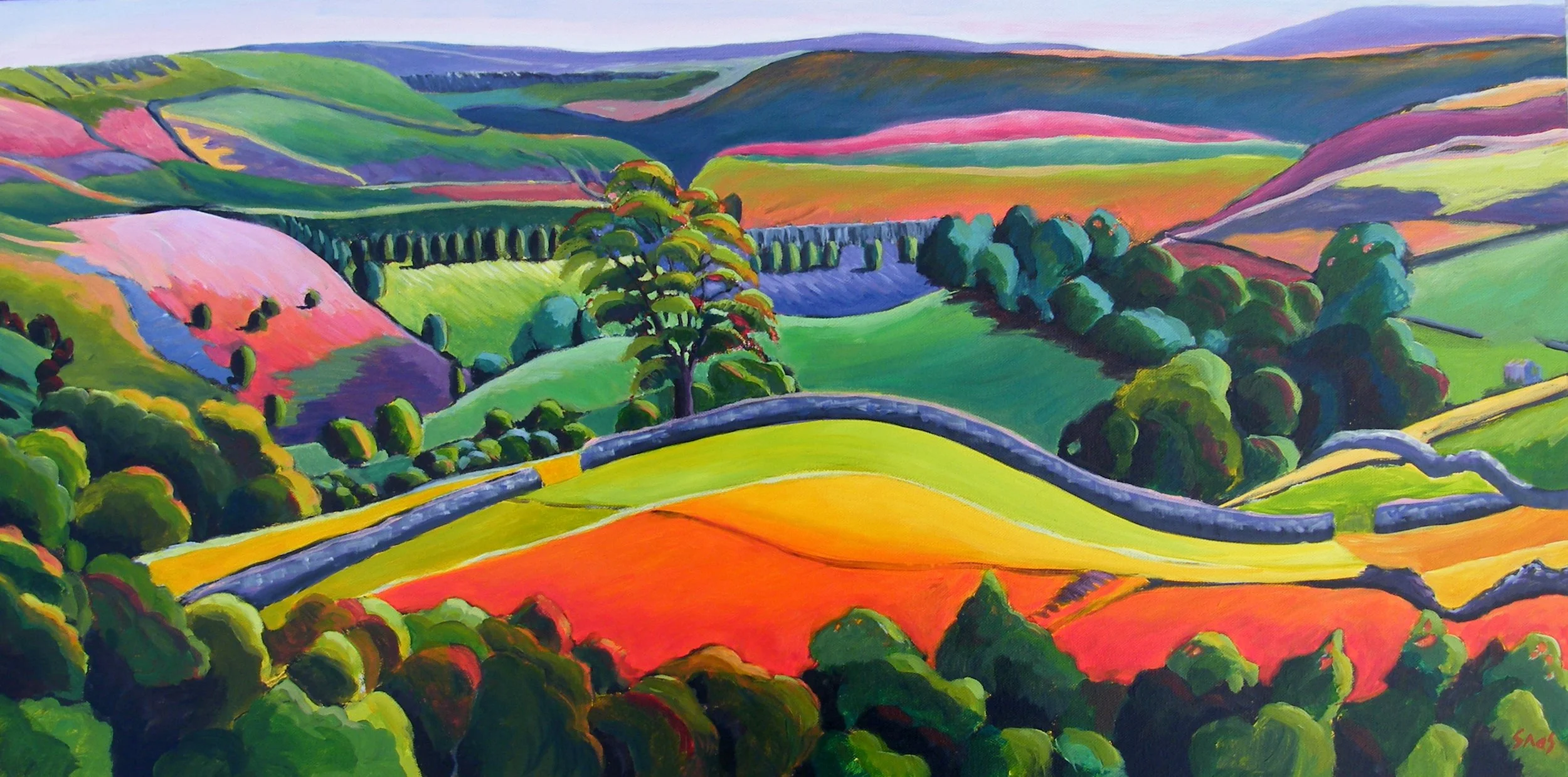Birk Hill, Keld.JPG