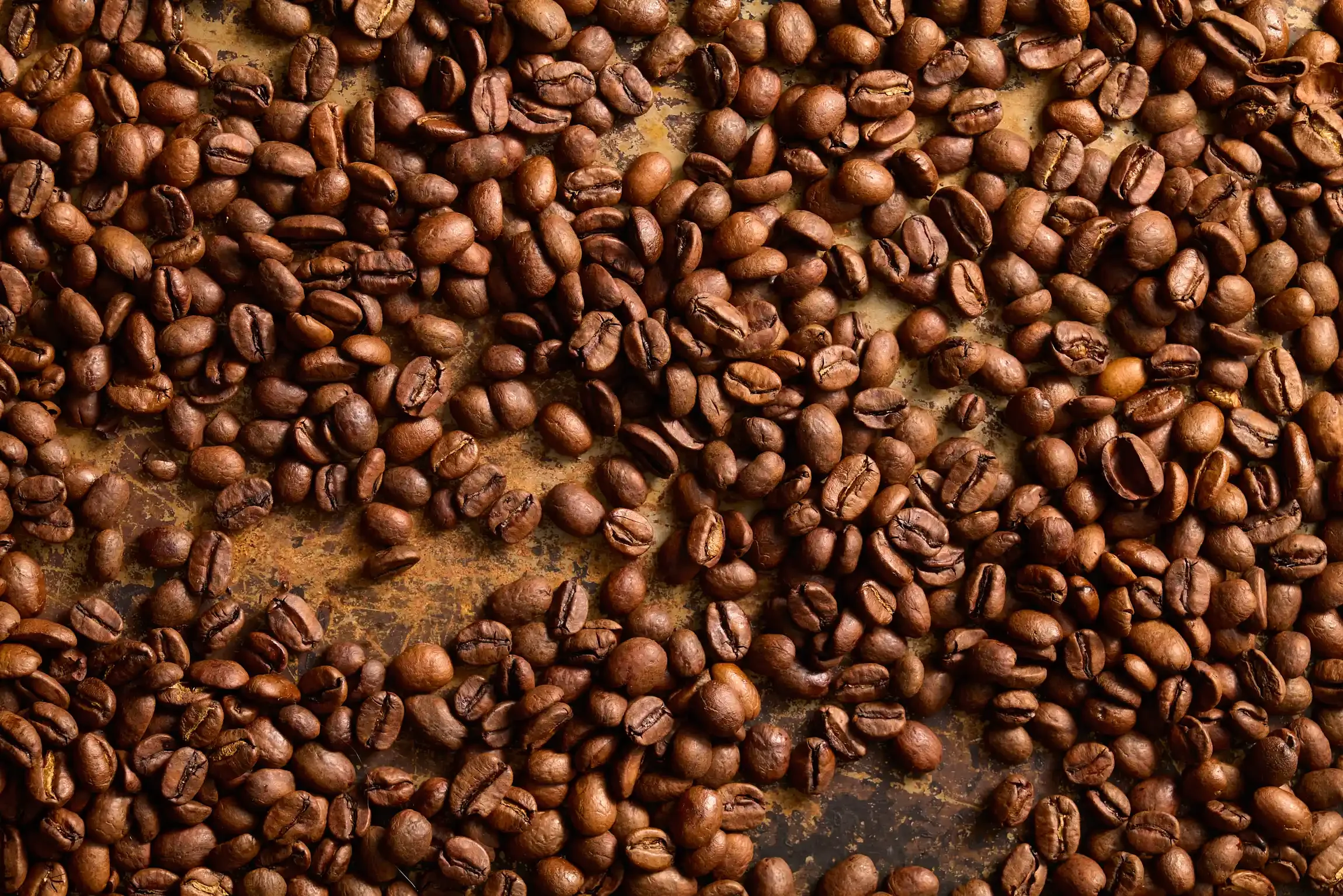 coffee_beans_0321_0003.webp