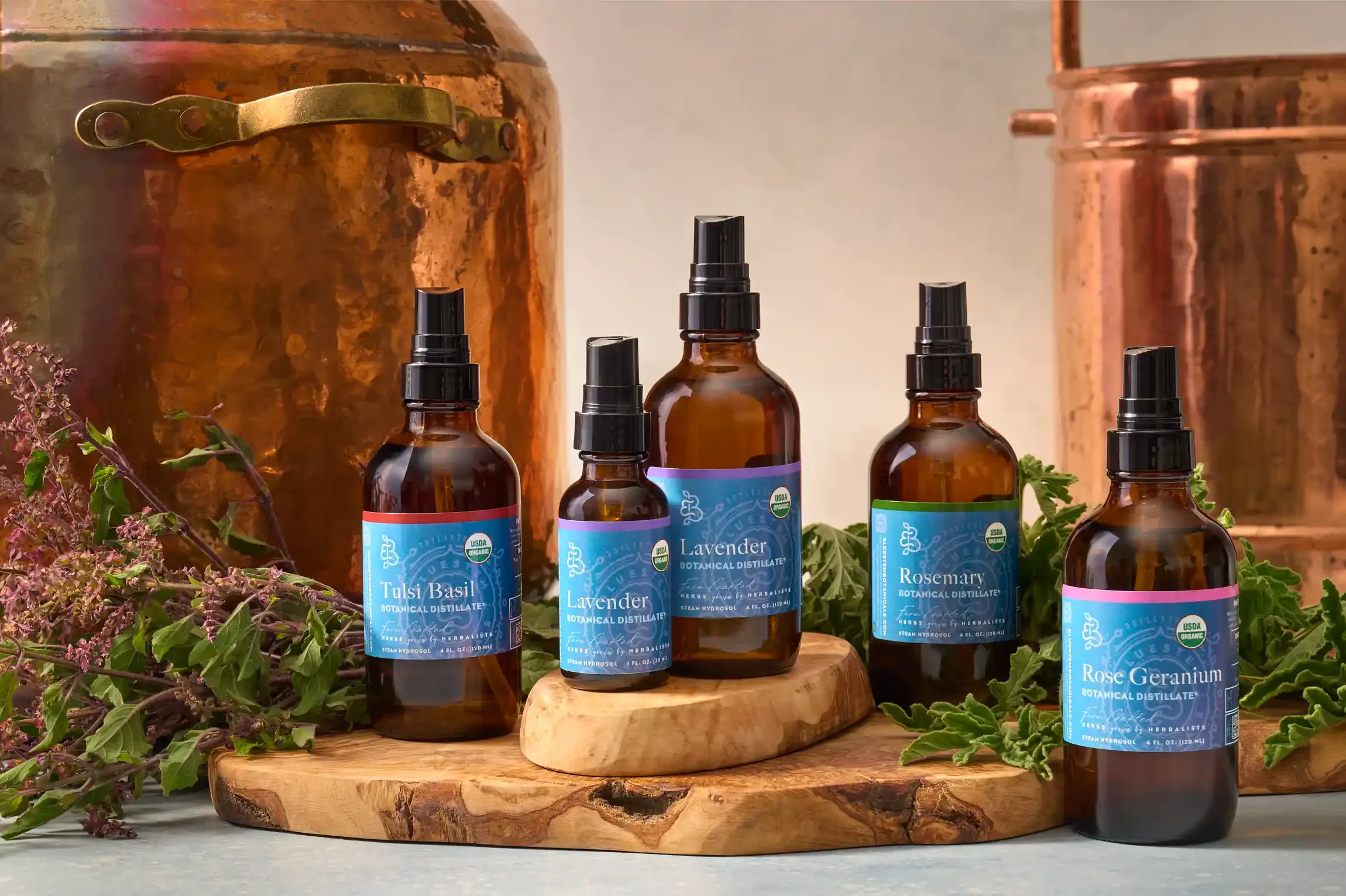 bluestem_0925_0033 1 1.webp