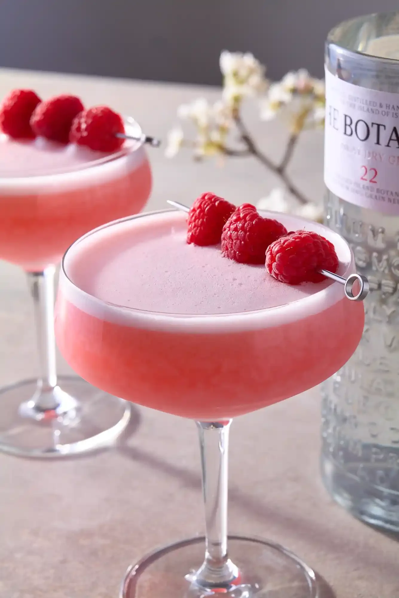 Two pink cocktails garnished with fresh raspberries, with a bottle of gin in the background. By Philadelphia, PA, New Jersey & New York drink photographer & drink stylist team Bartholomew Studio.
