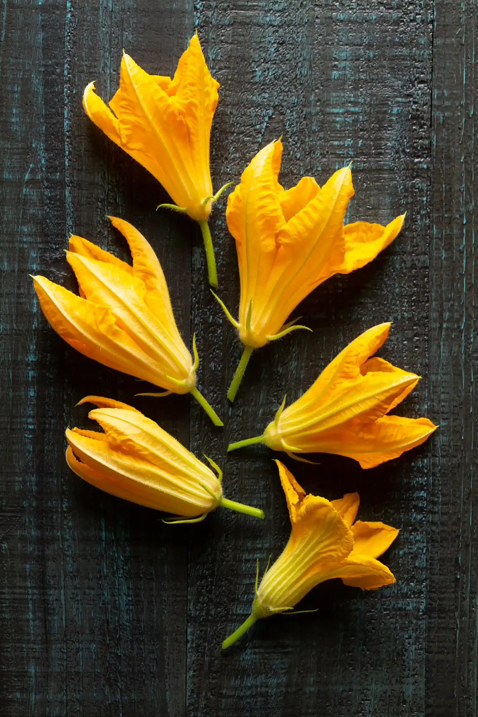 Six yellow squash blossoms arranged on a dark wooden surface. By PA & NJ food photographer & food stylist team Bartholomew Studio.