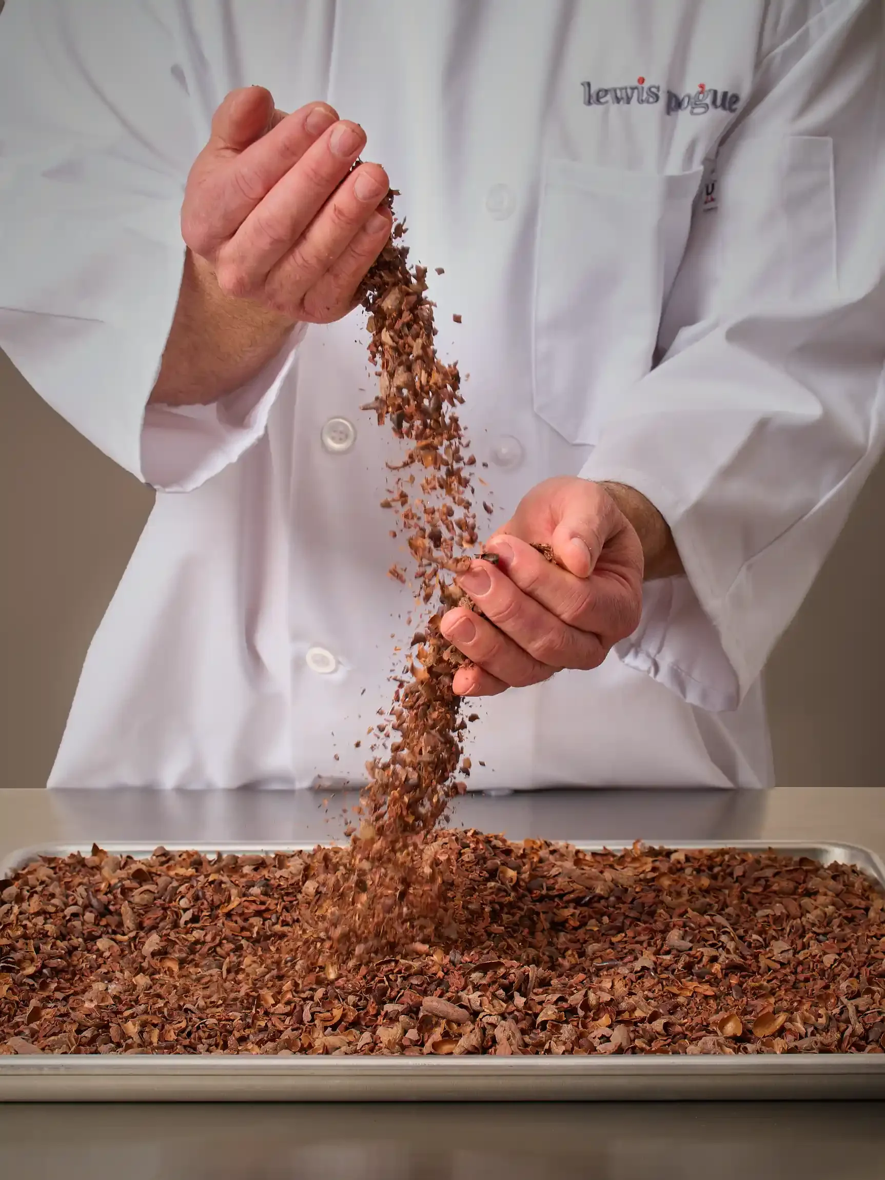 Chocolate03220981 1 2.webp