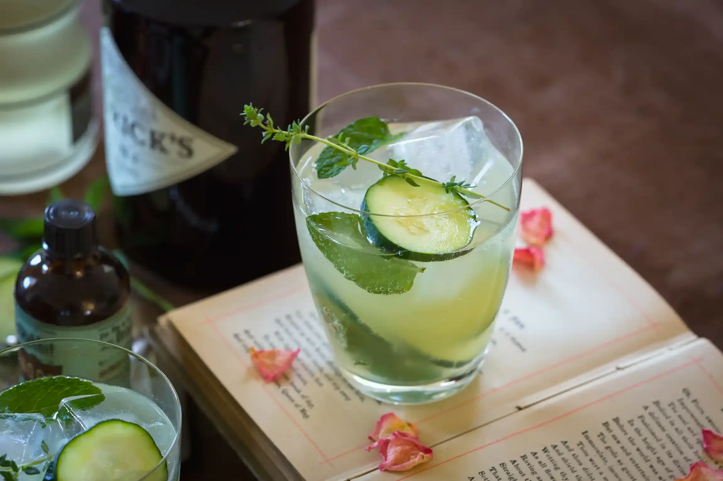 gin_cucumber_mint_drink_0315__0006-2.webp