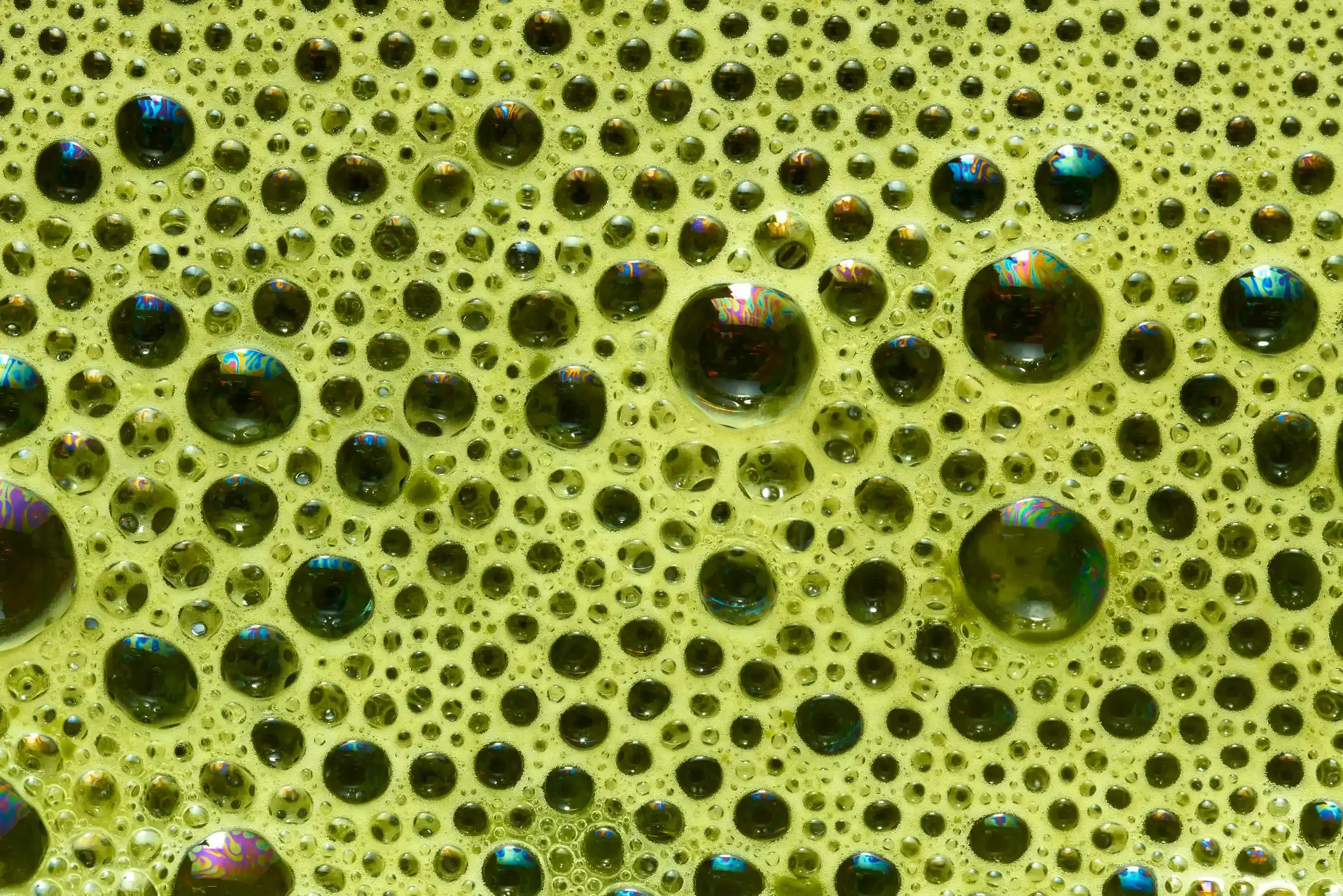 matcha_tea_1121_0006 1.webp