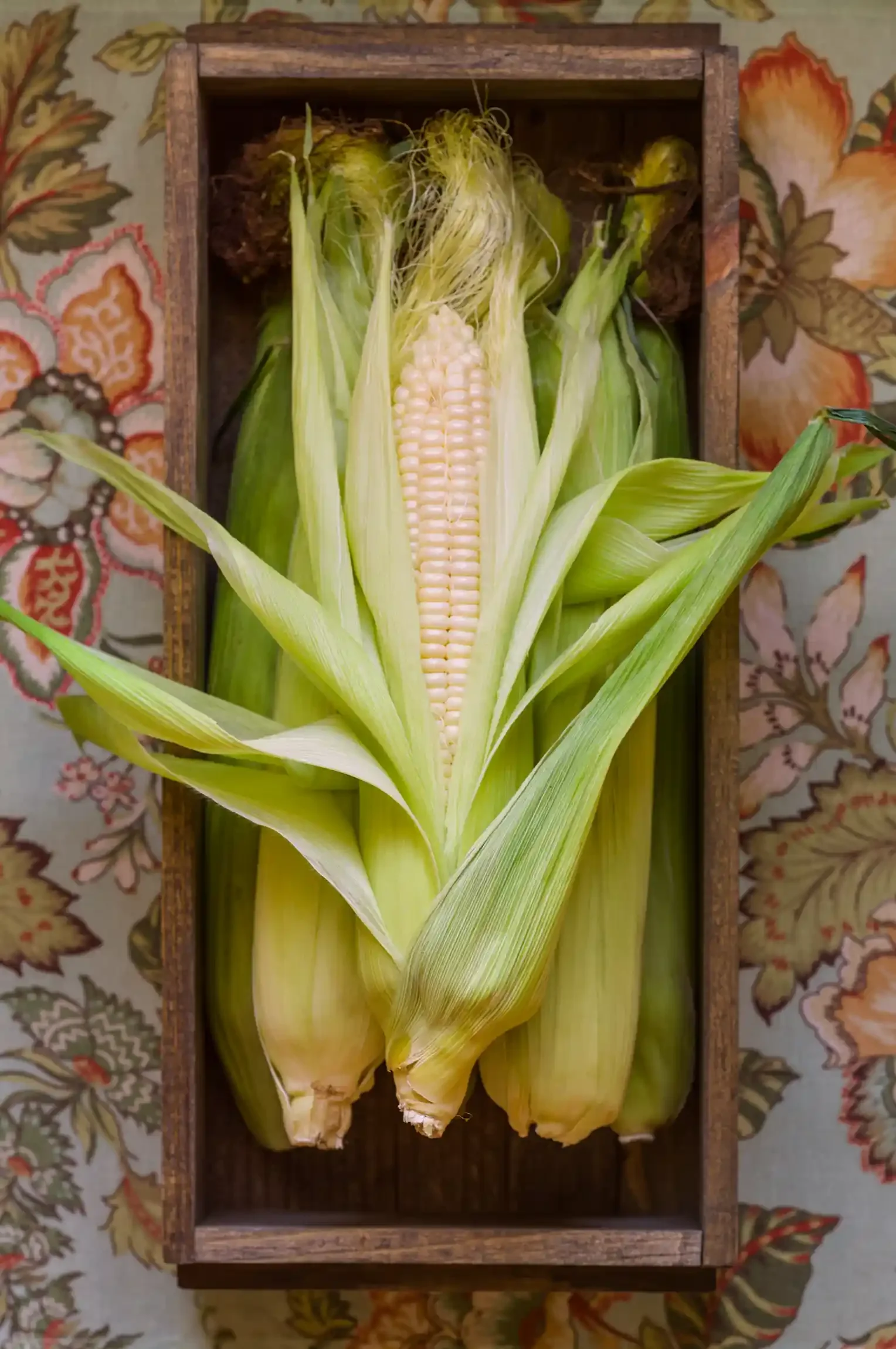 Fresh corn on the cob with husks partially pulled back, placed in a wooden tray on a floral-patterned tablecloth. By Philadelphia, PA food photographer & food stylist team Bartholomew Studio.