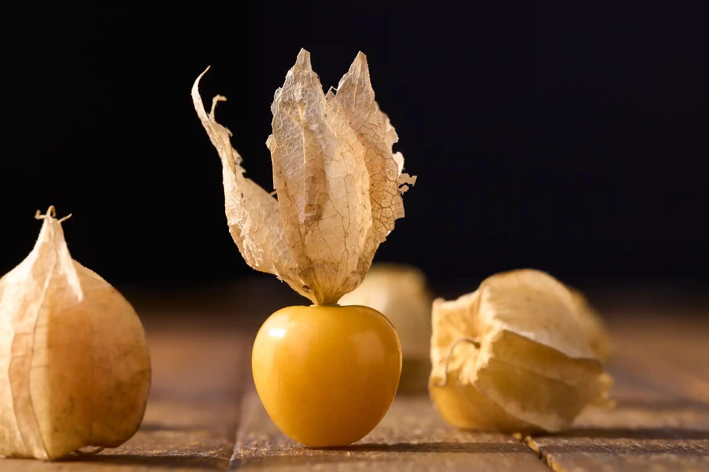 ground_cherries_1021_0766.webp