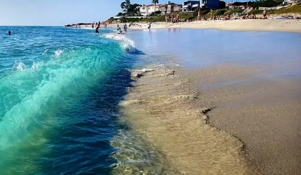 Beach scene with people on sandy shore and in the ocean, residential houses on a hill in the background, waves gently crashing.