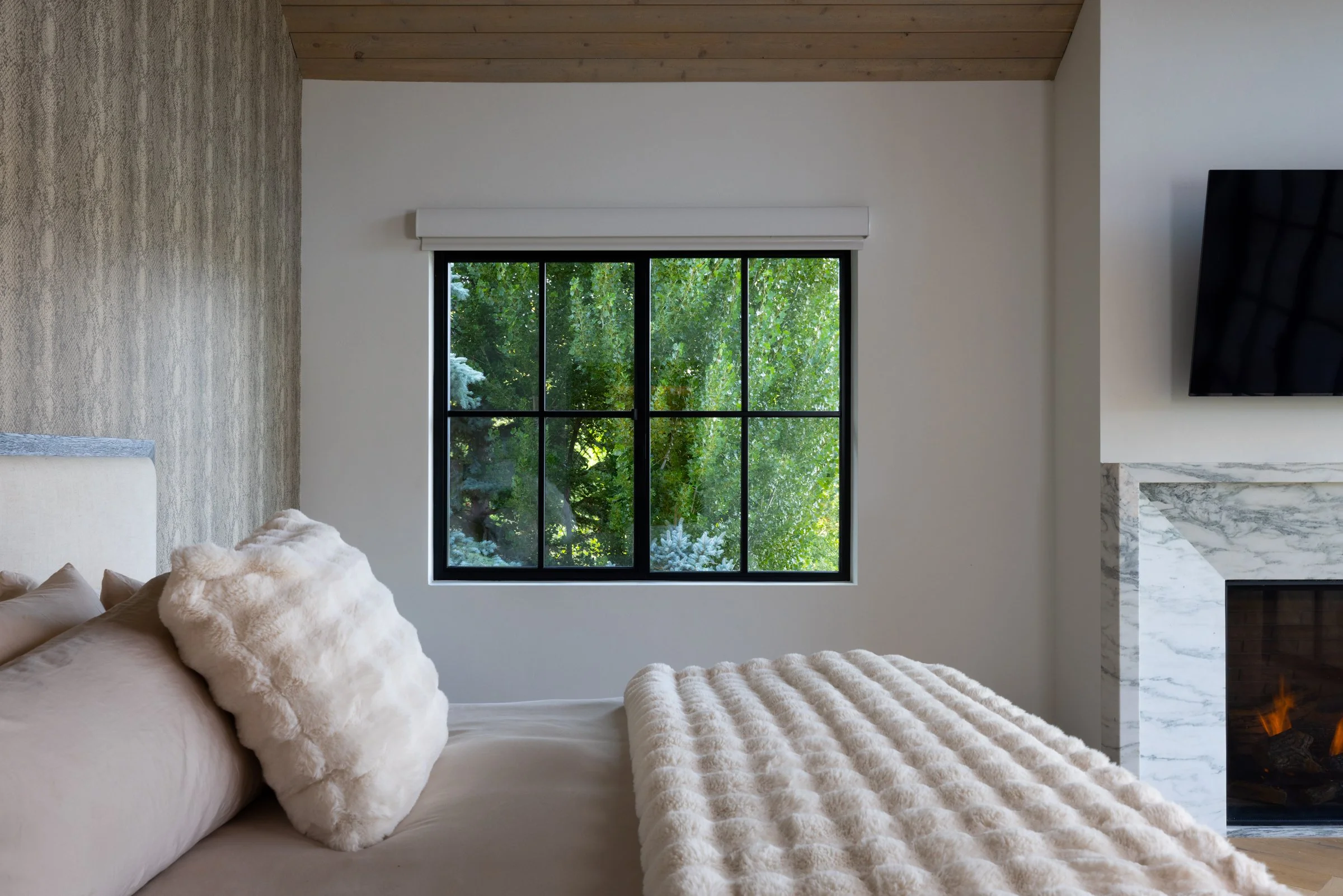 EleviewsHolden_PrimaryBDRM4.jpg