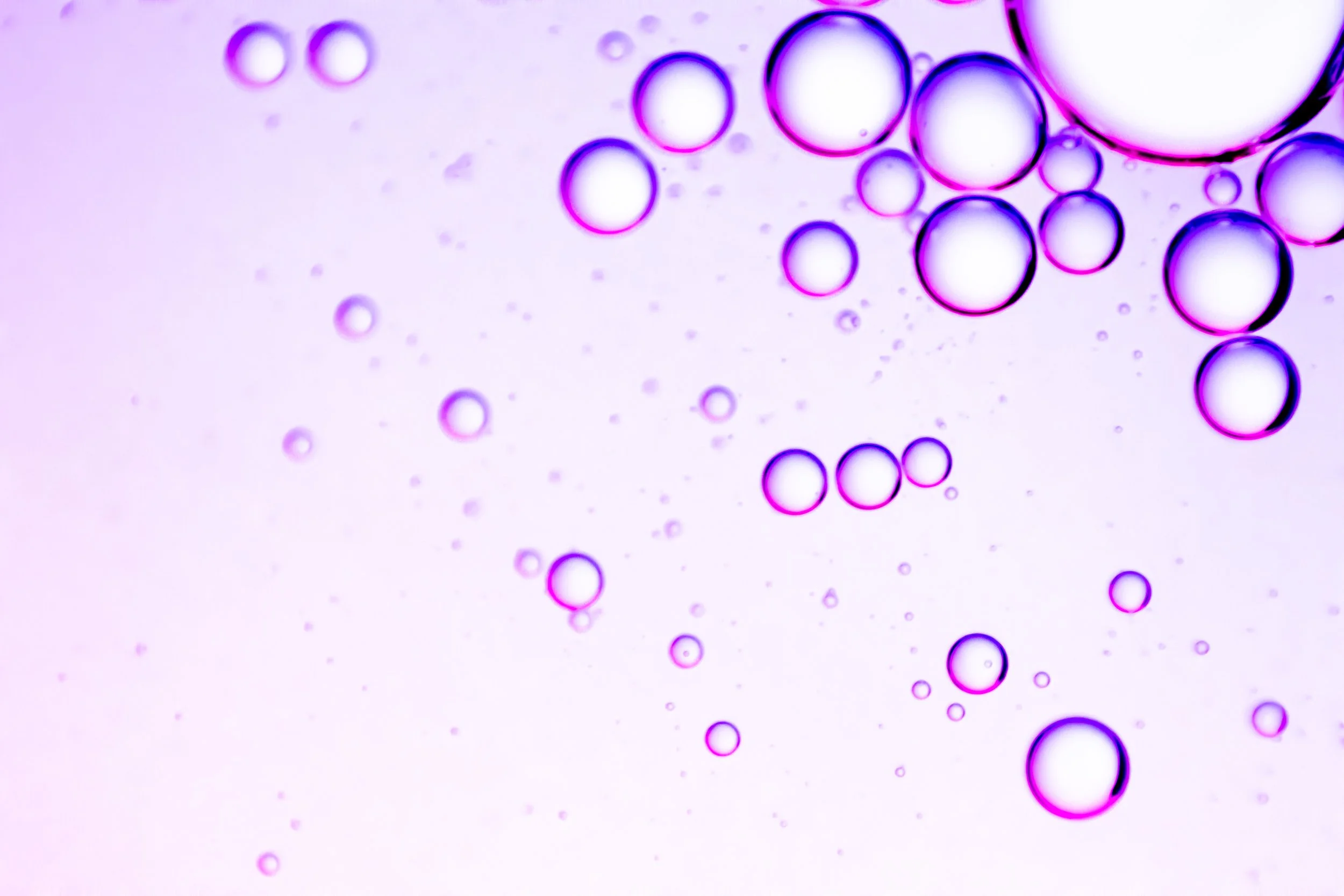 Separate Personal Opinions and Business Like Oil and Water