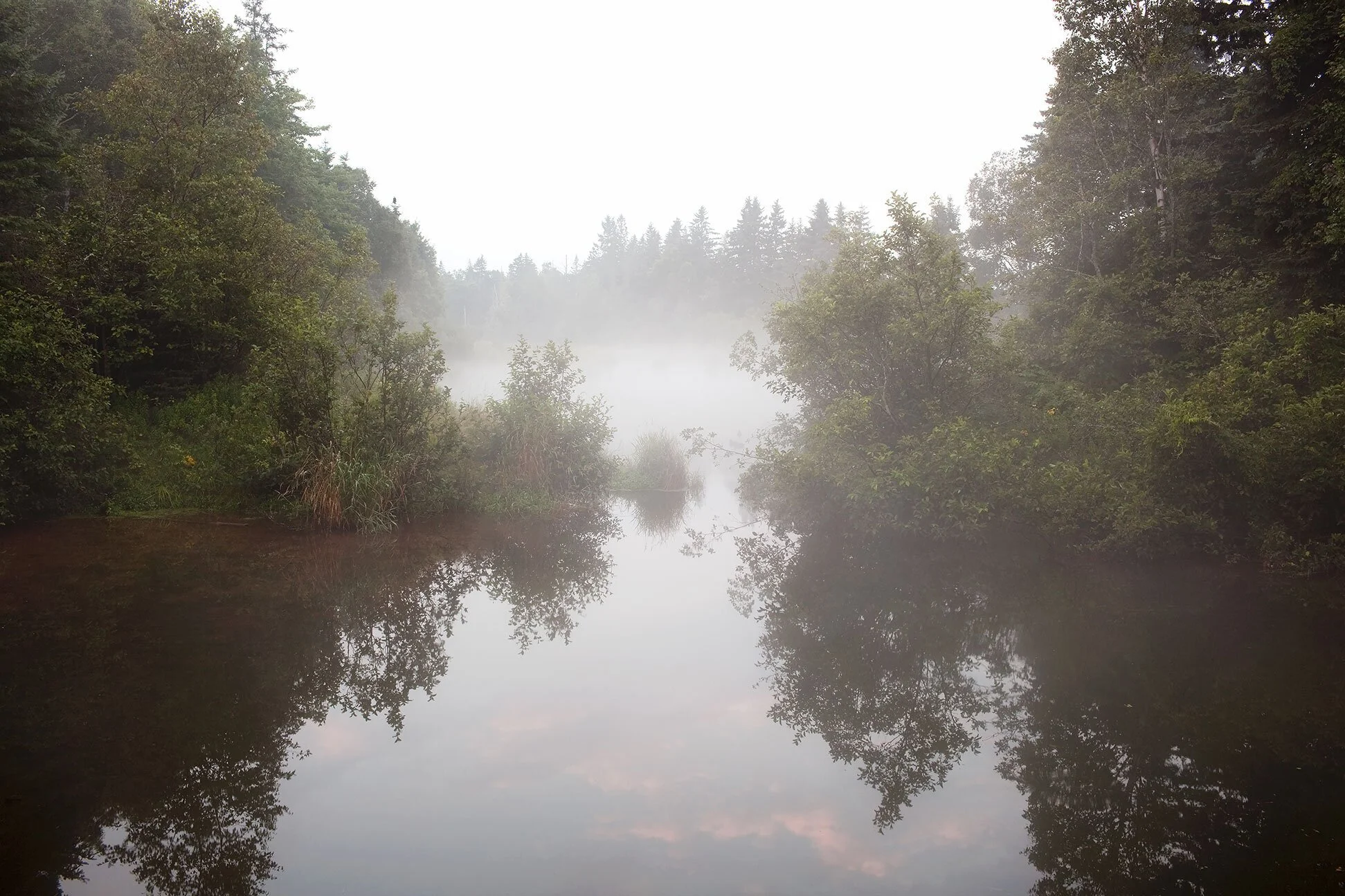 In Your Own Sweet Way