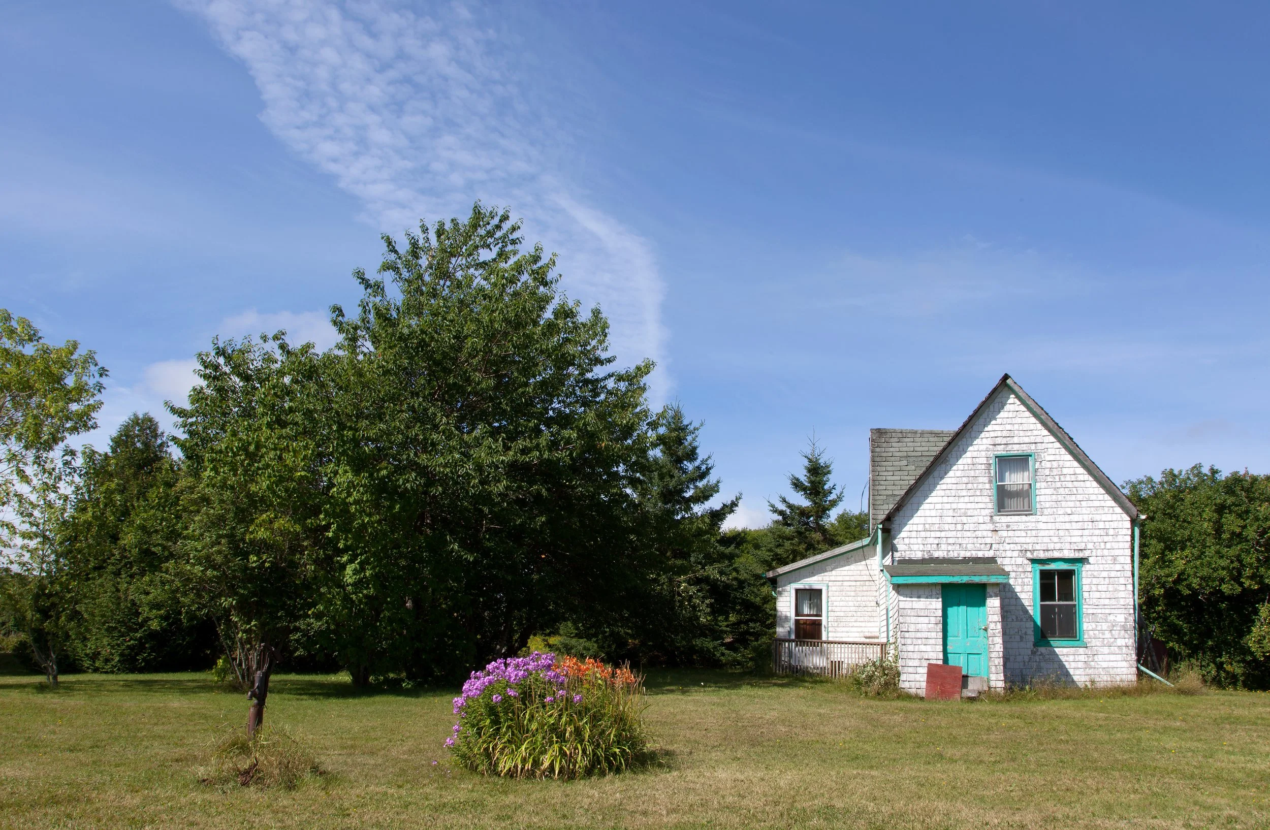 _MG_5535 FLAT FINAL USE THIS ONEpsd.jpg