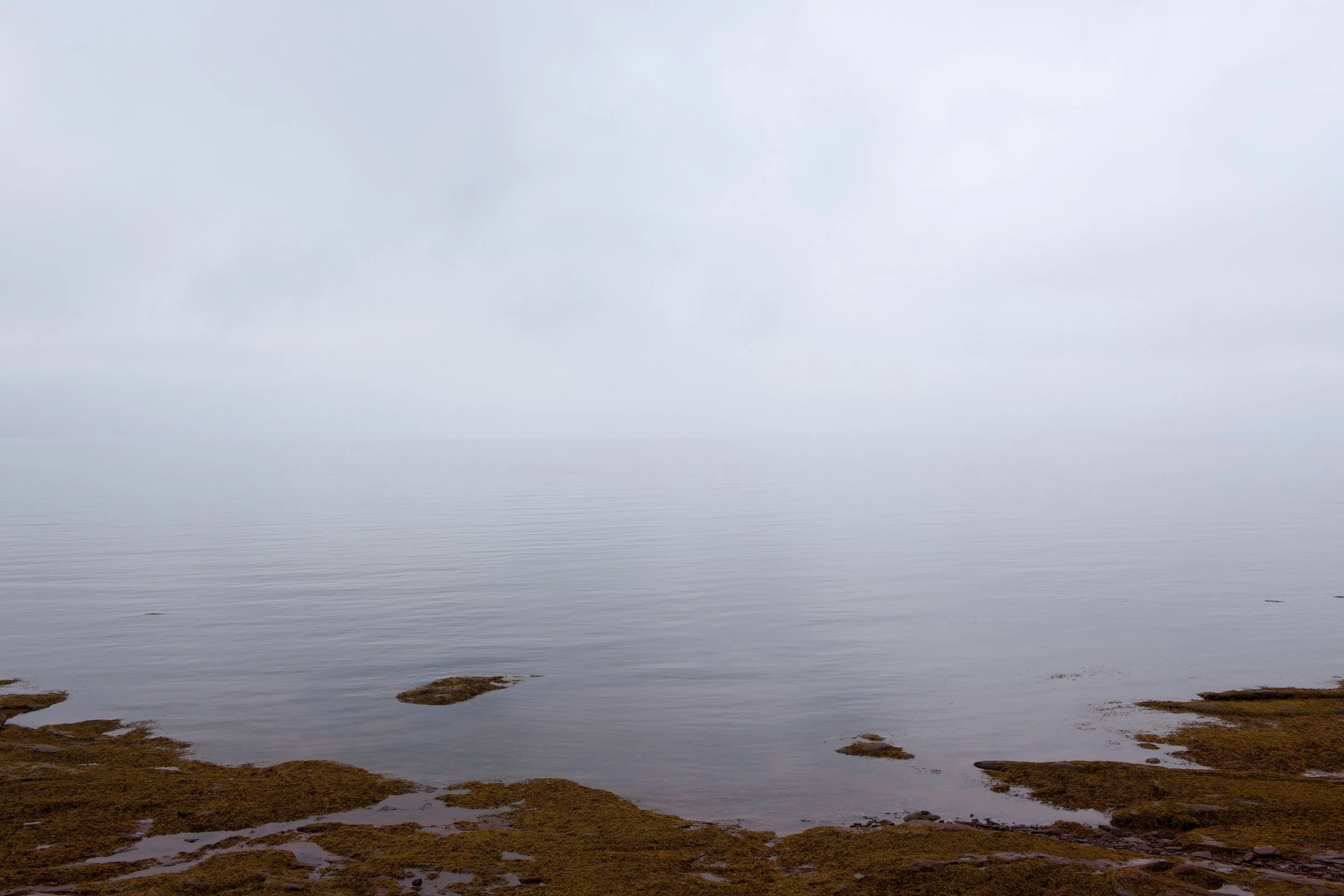 _MG_9337 FLAT FINAL.jpg