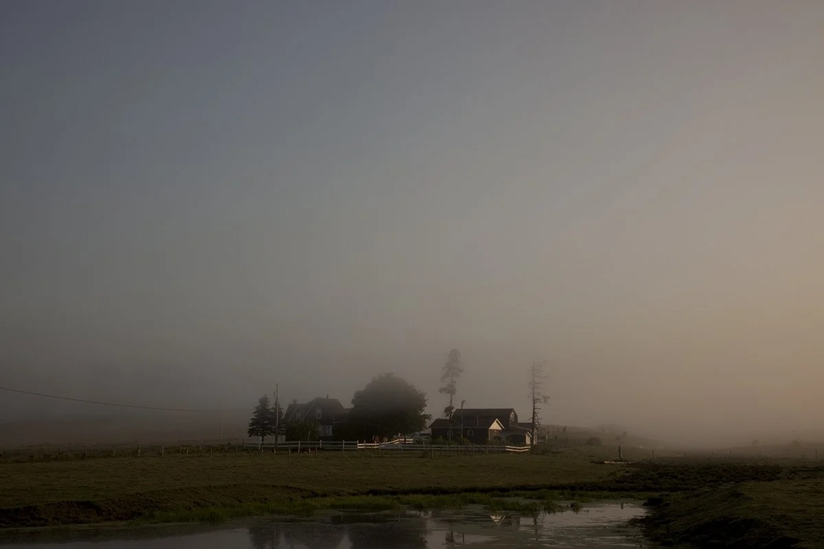 As the Day Breaks from Night