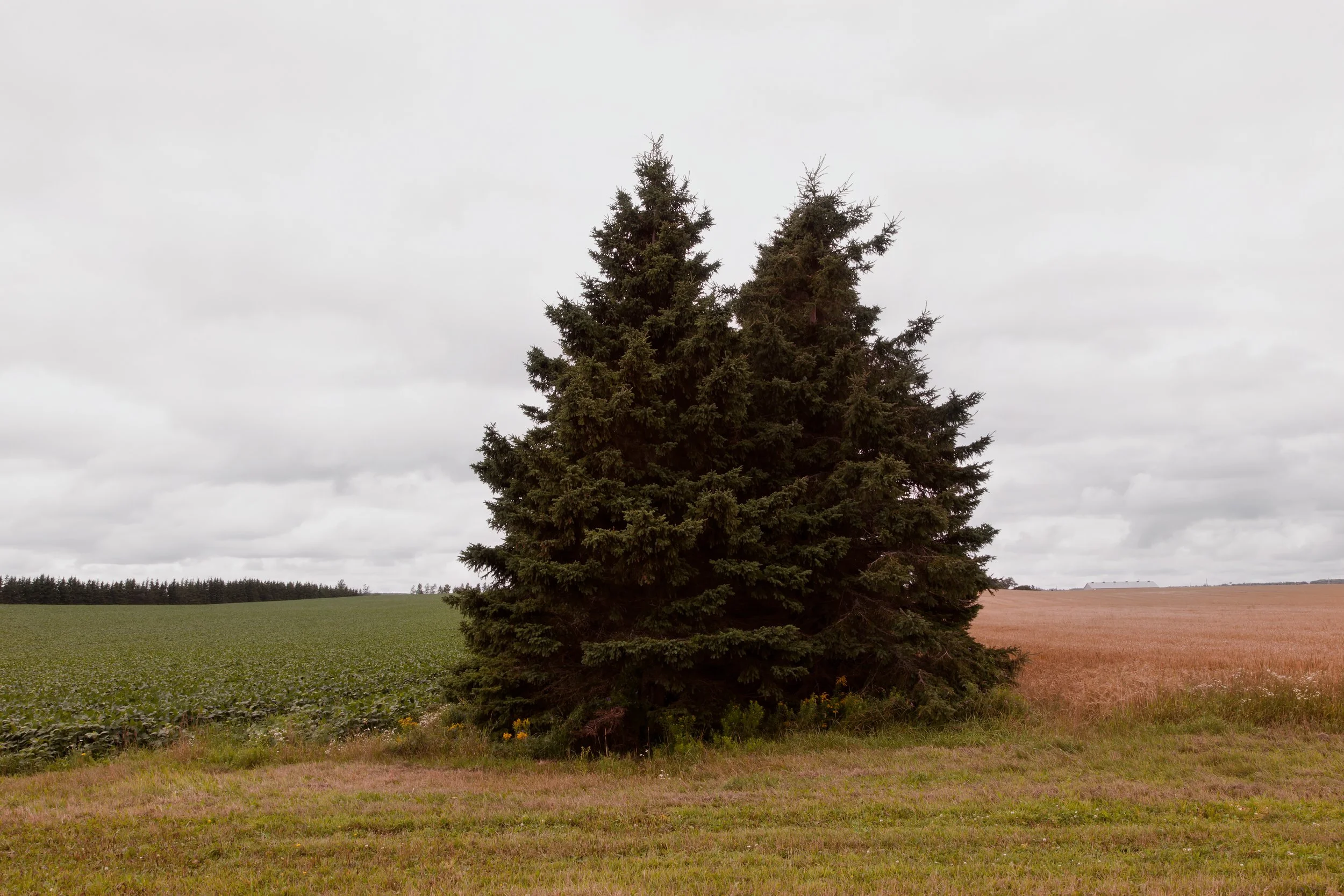 _MG_5409 FLAT FINAL.jpg