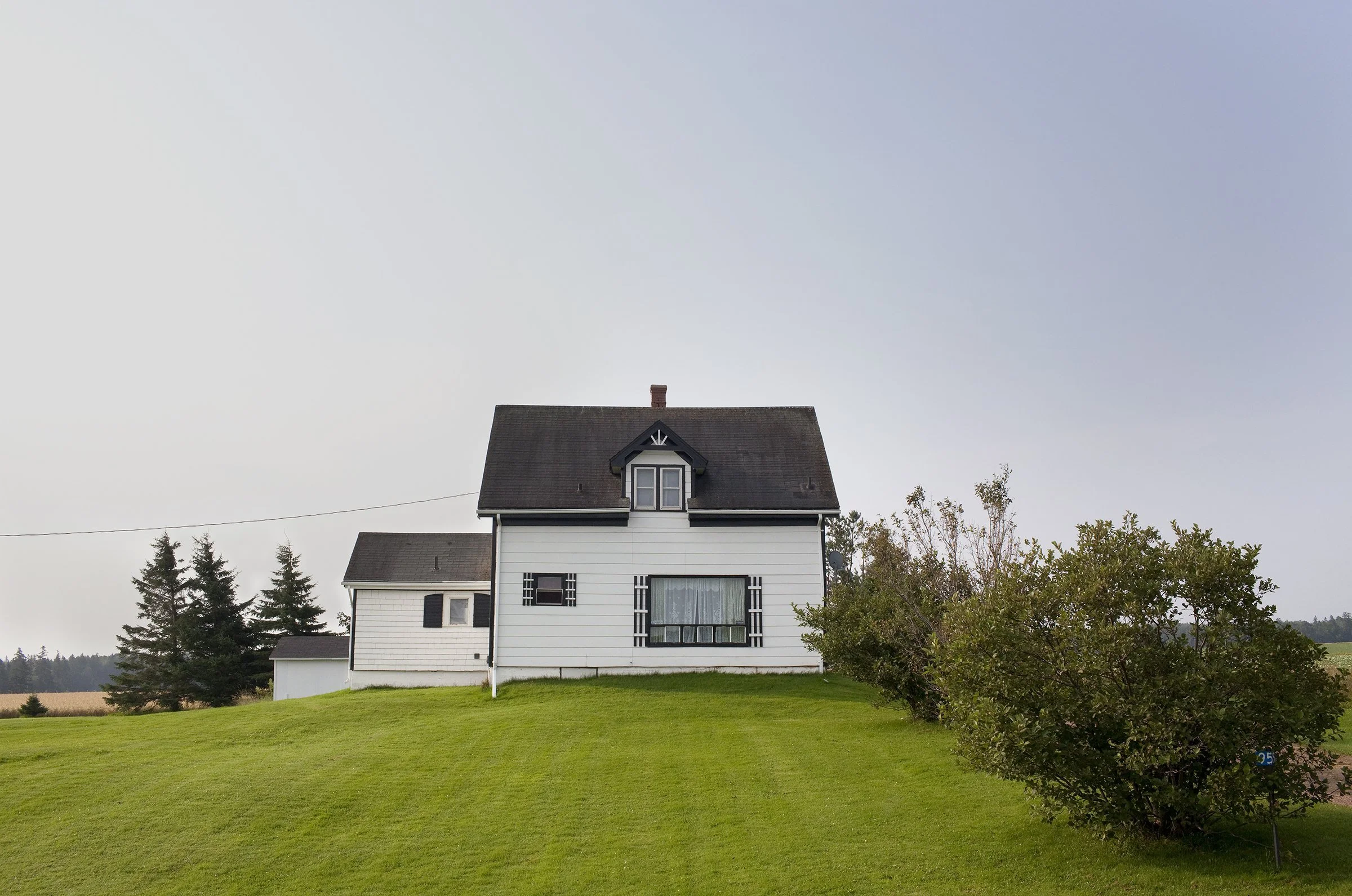 White House with Lace Curtains, 2009