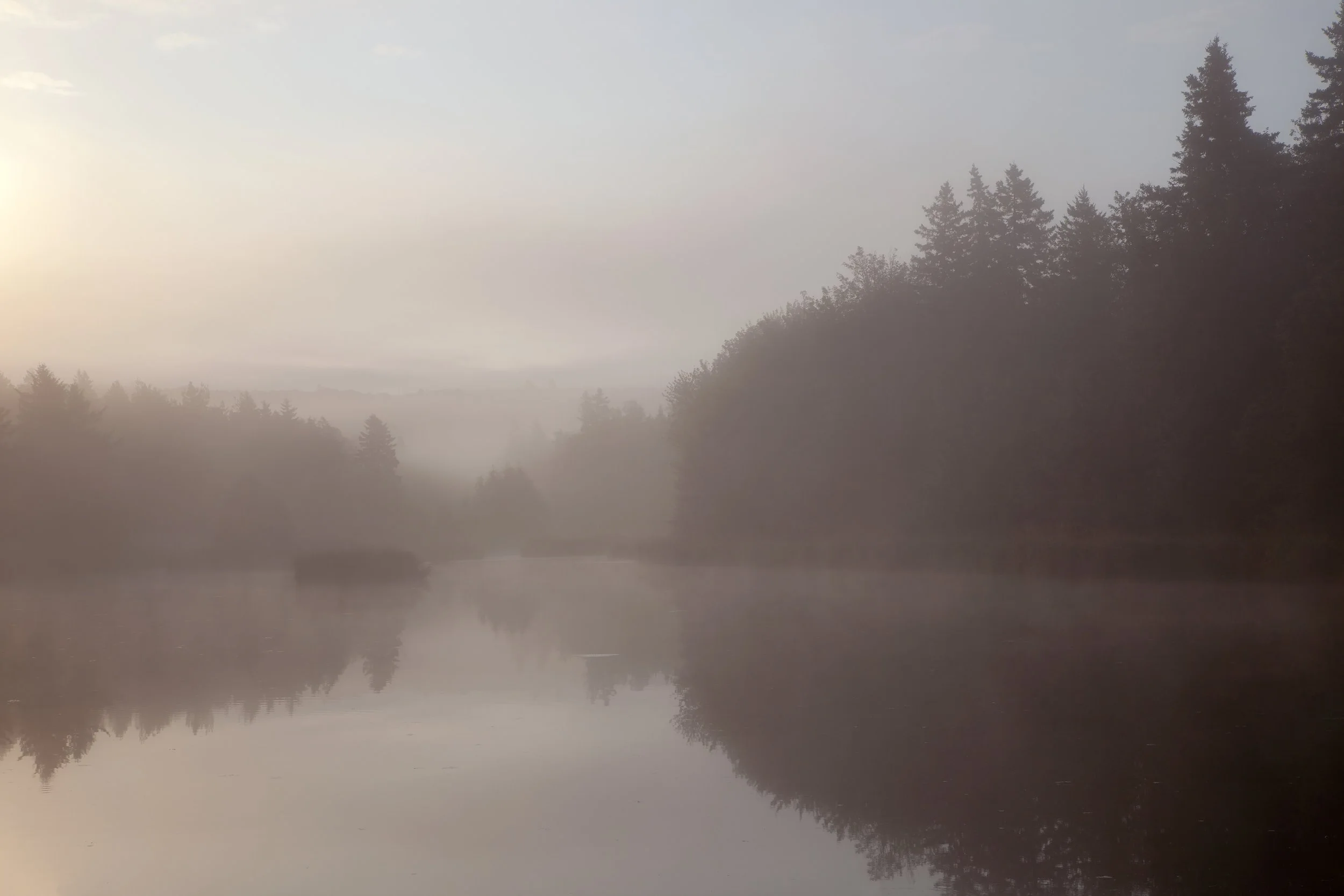 Between the Light and Me