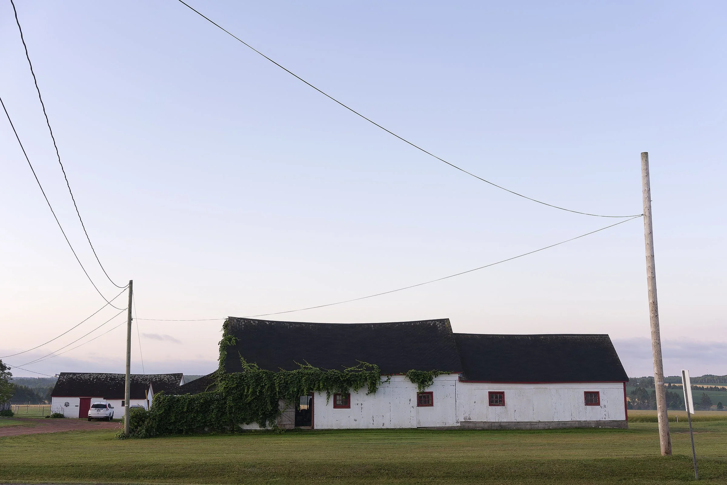 White Barn with Vines, 2019