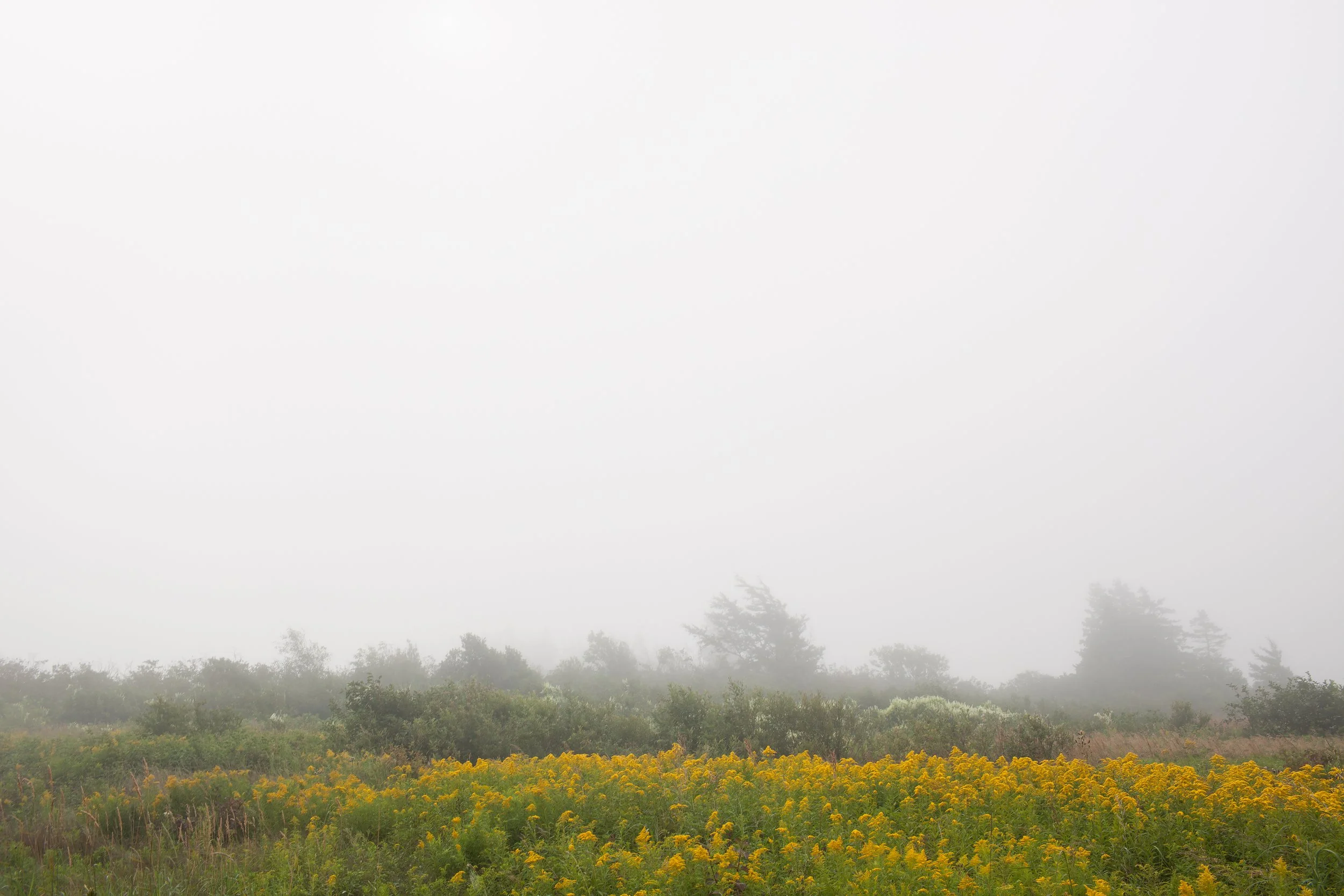 _MG_2426 FLAT FINAL.jpg