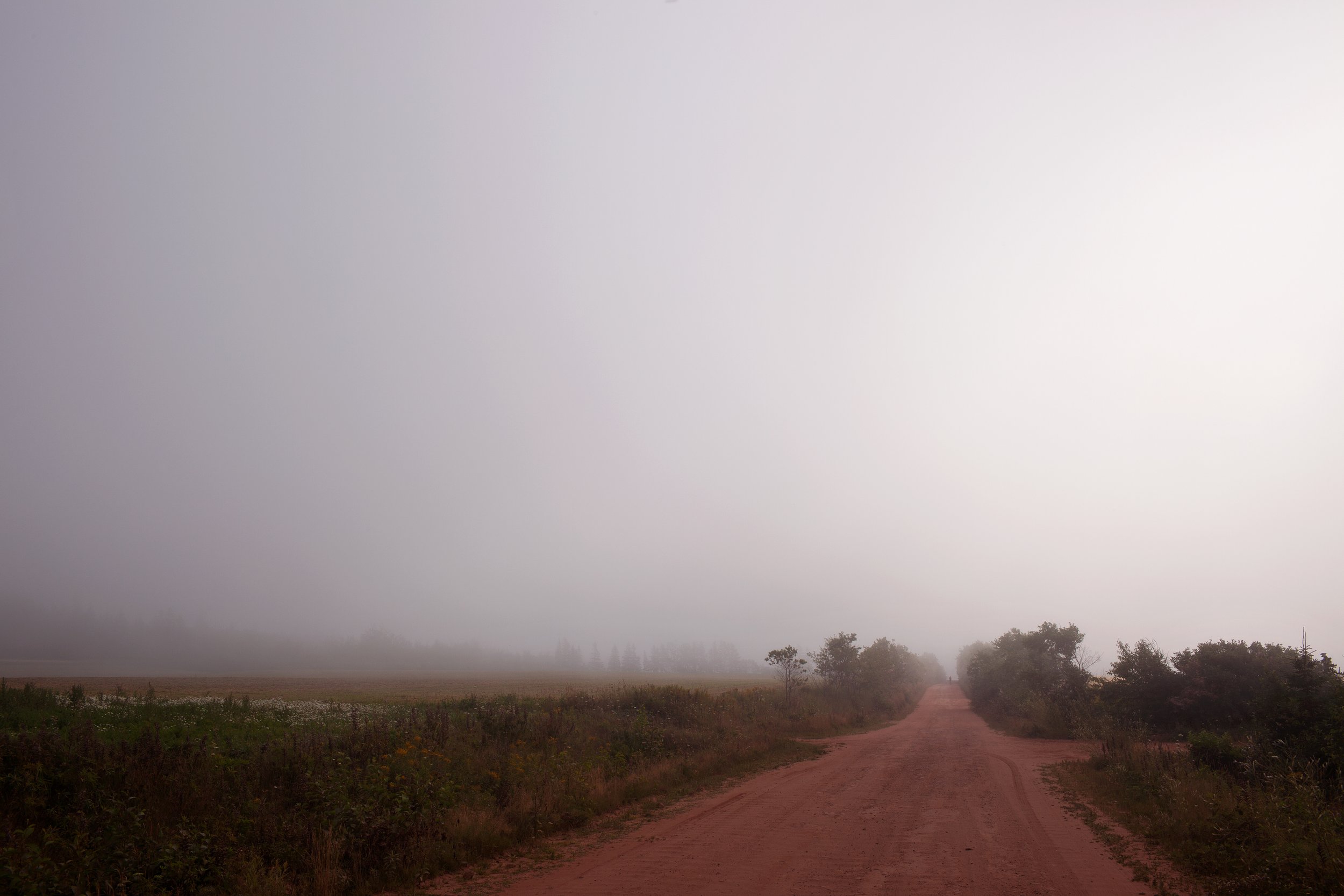 _MG_2438 FLAT FINAL 2-22-17.jpg