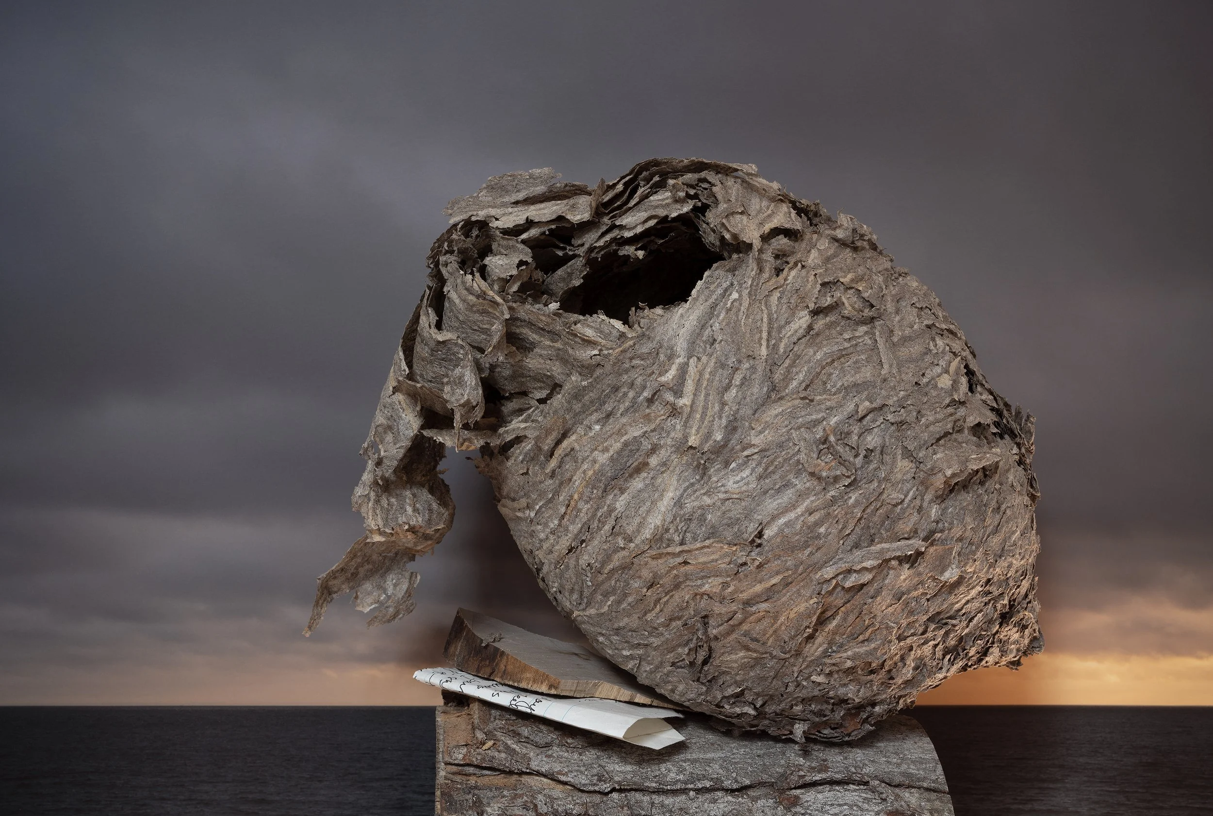 A Secret About a Secret, 2022, title from Diane Arbus