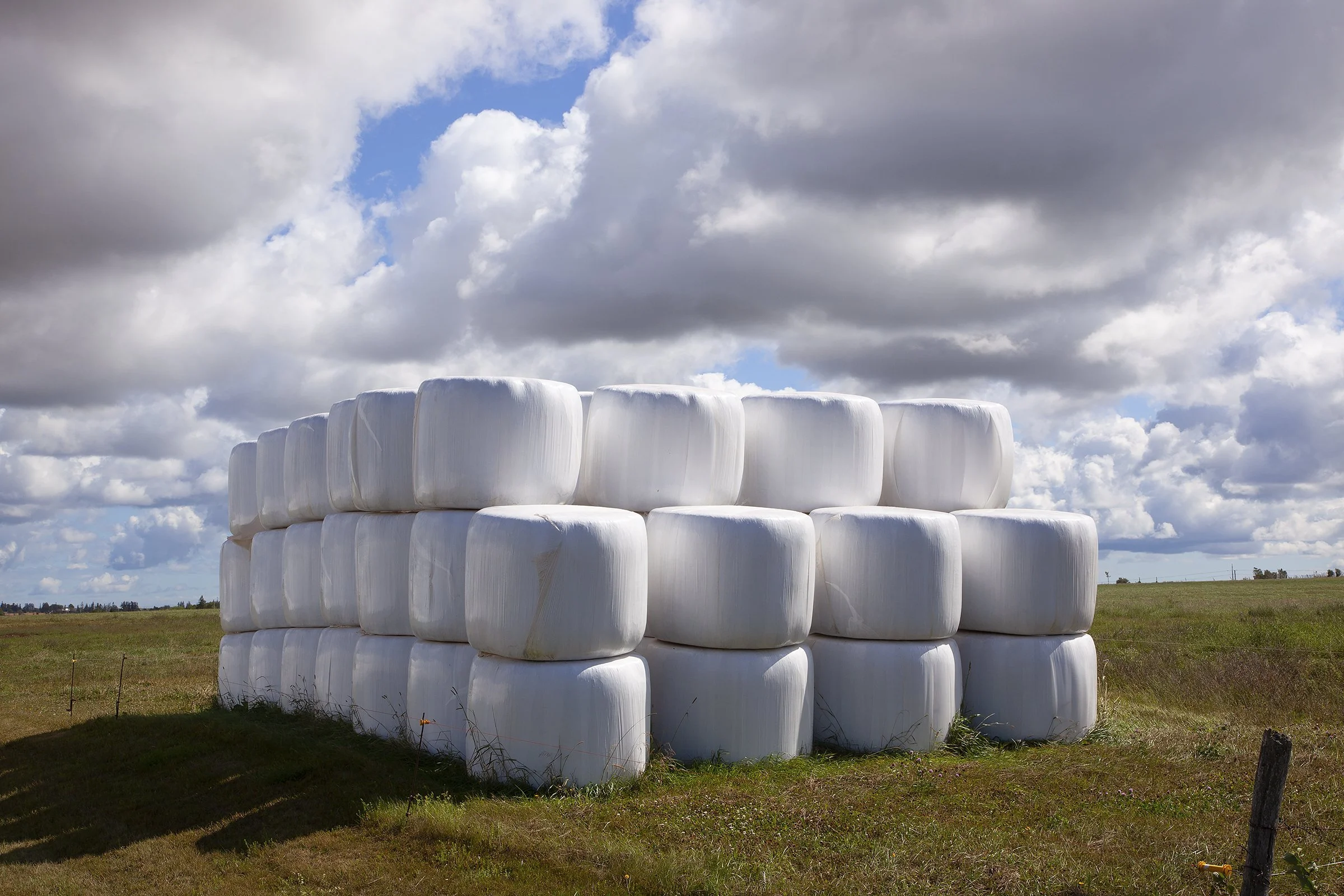 Hay Bales, Covered, 2016