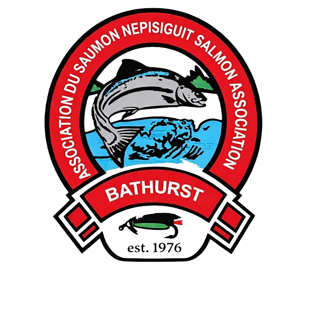 Nepisiguit Salmon Association - Stewards of the Nepsiguit River. Guardians of the Atlantic Salmon.