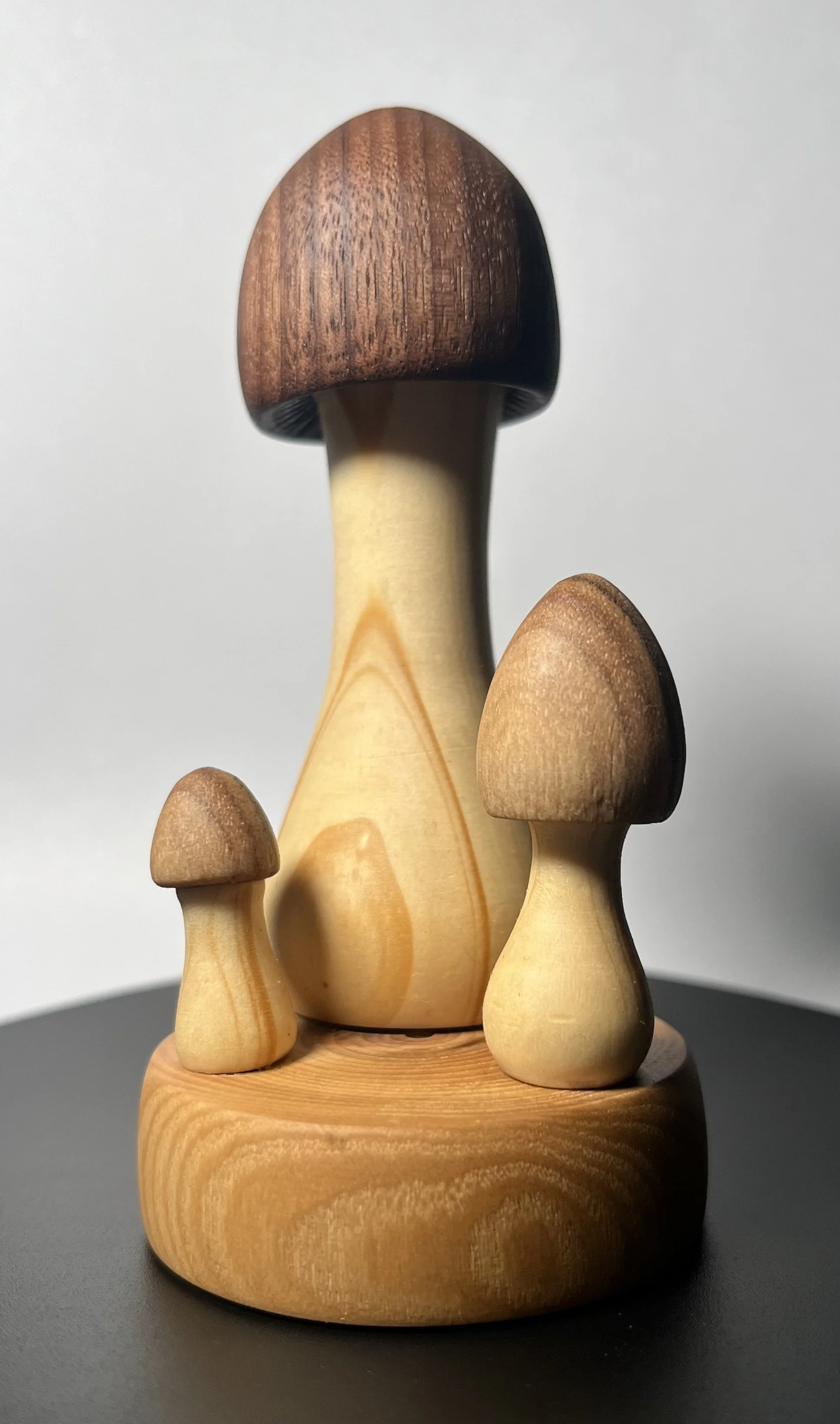 Mushroom Diorama