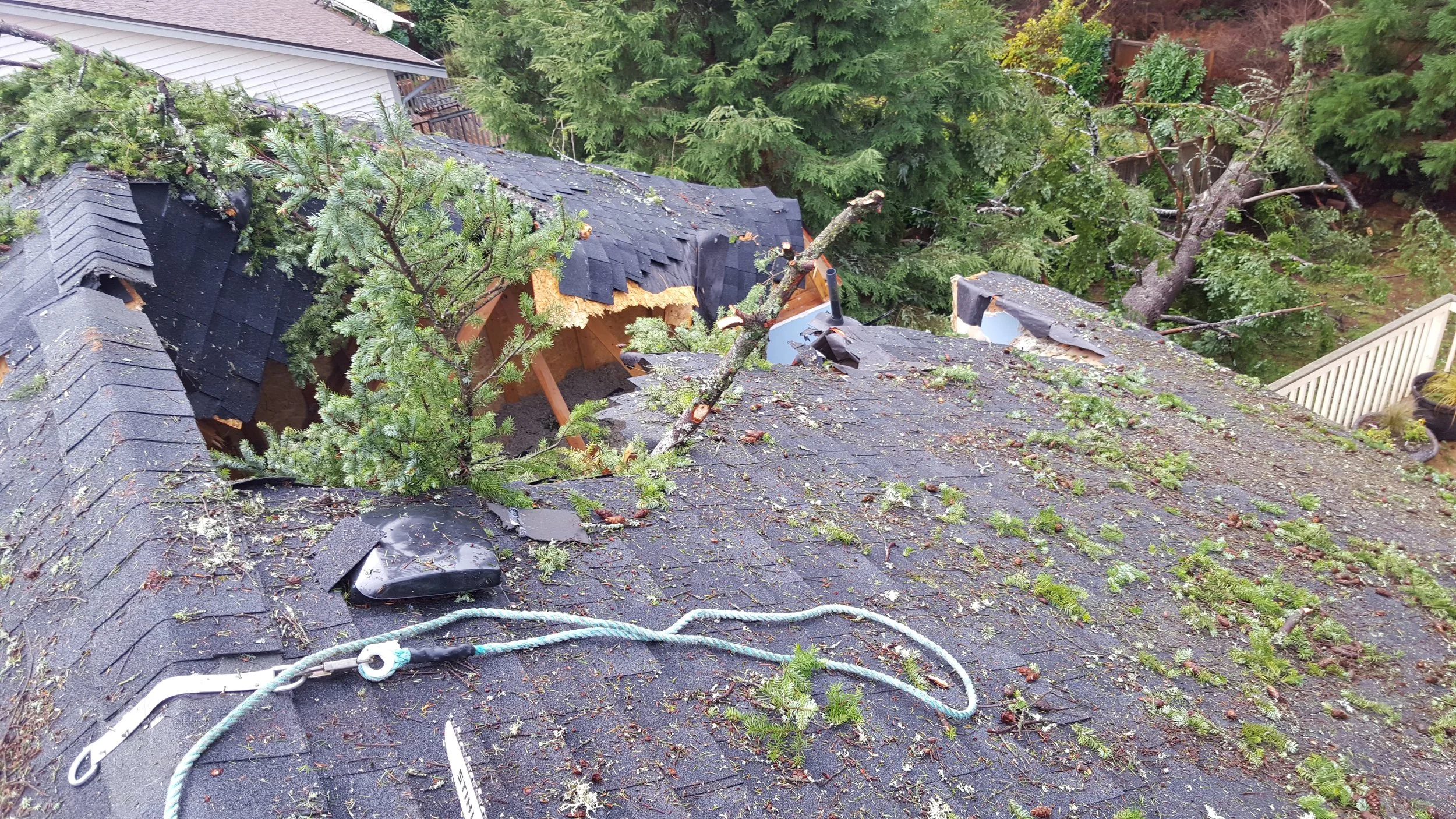 A fallen tree on a roof causing damage, with debris and branches scattered across the roof and surrounding area.