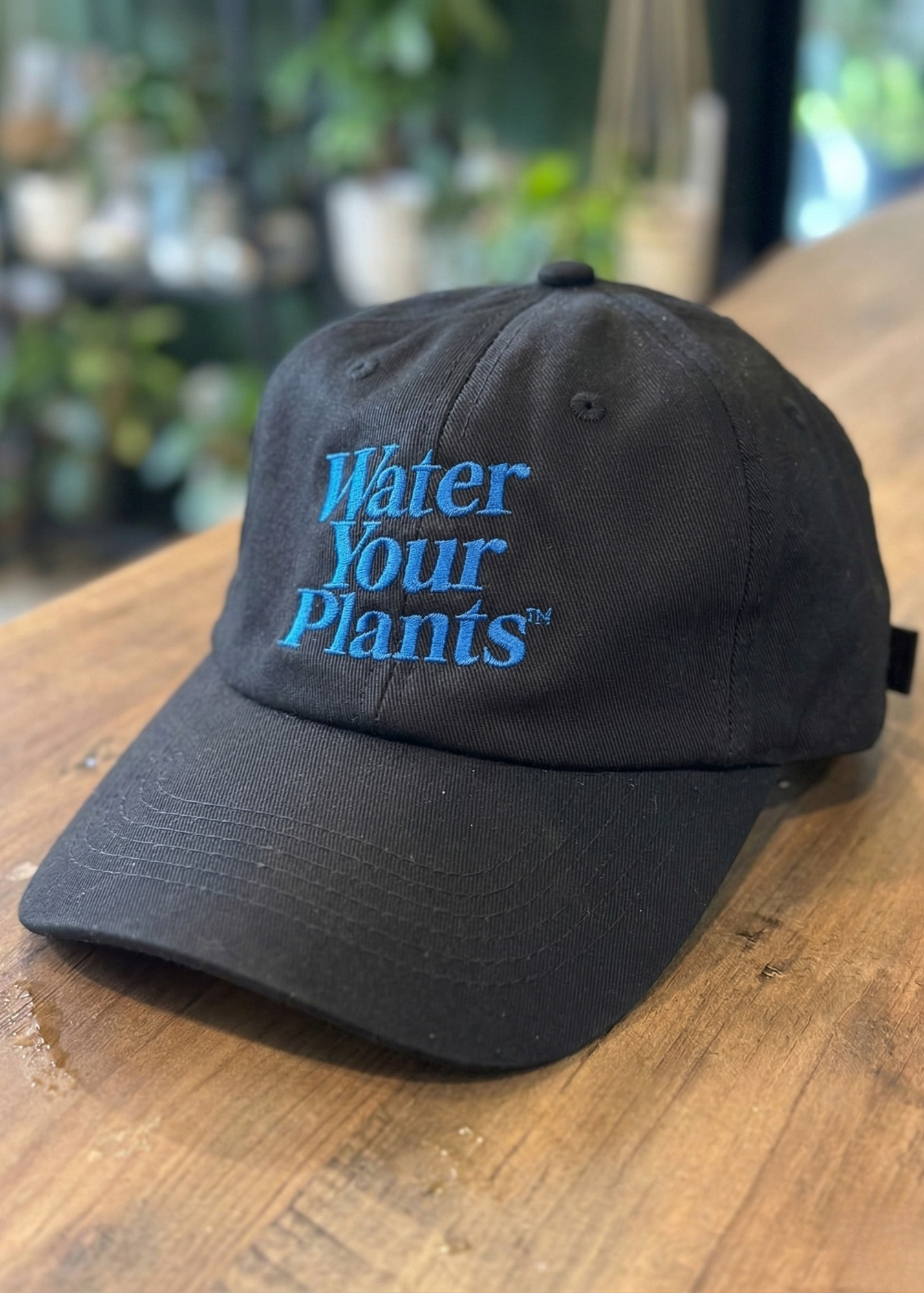 “Water Your Plants” Cap