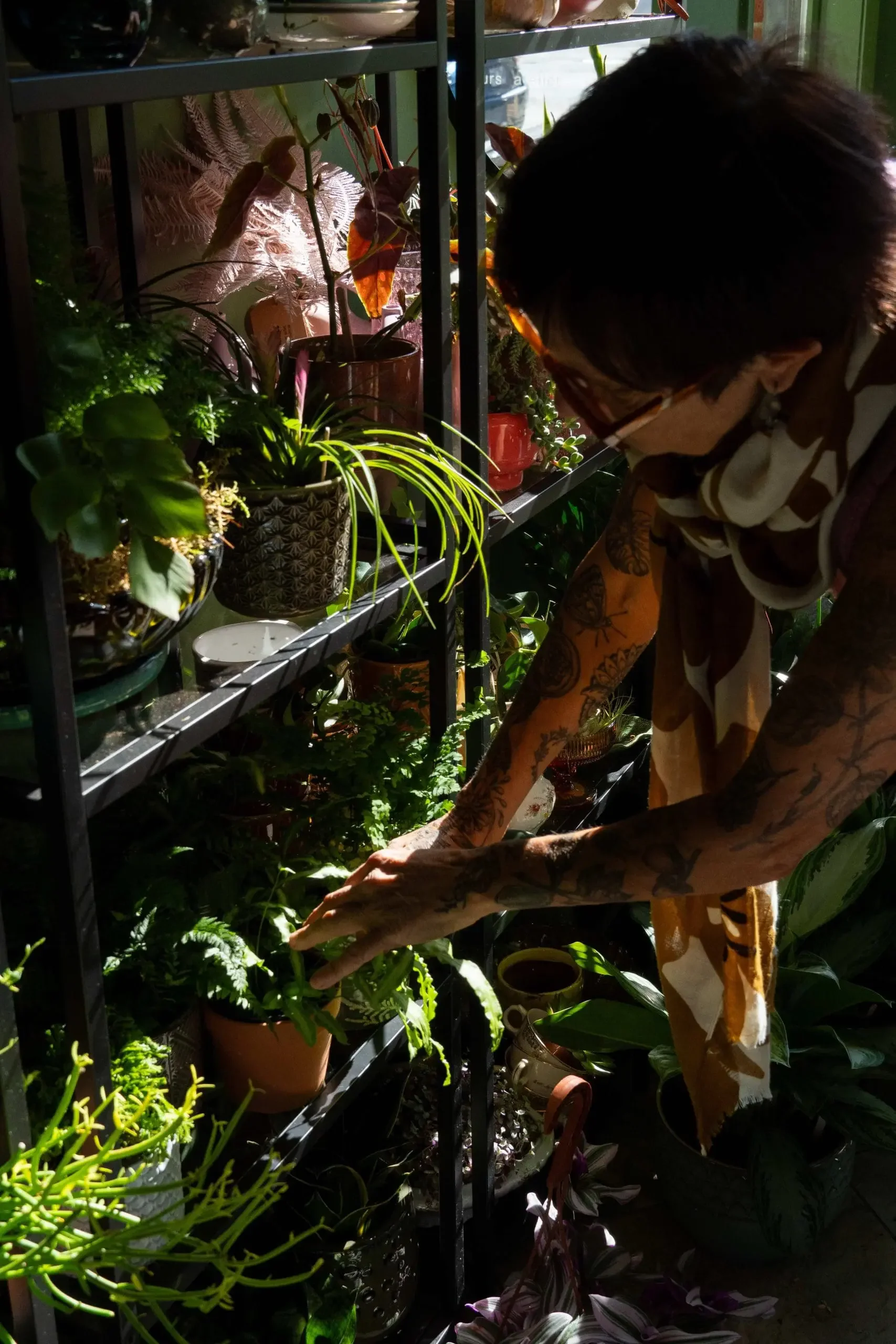 A person with tattoos on their arms tending to potted plants on black metal shelves, inside a sunny greenhouse or plant shop.