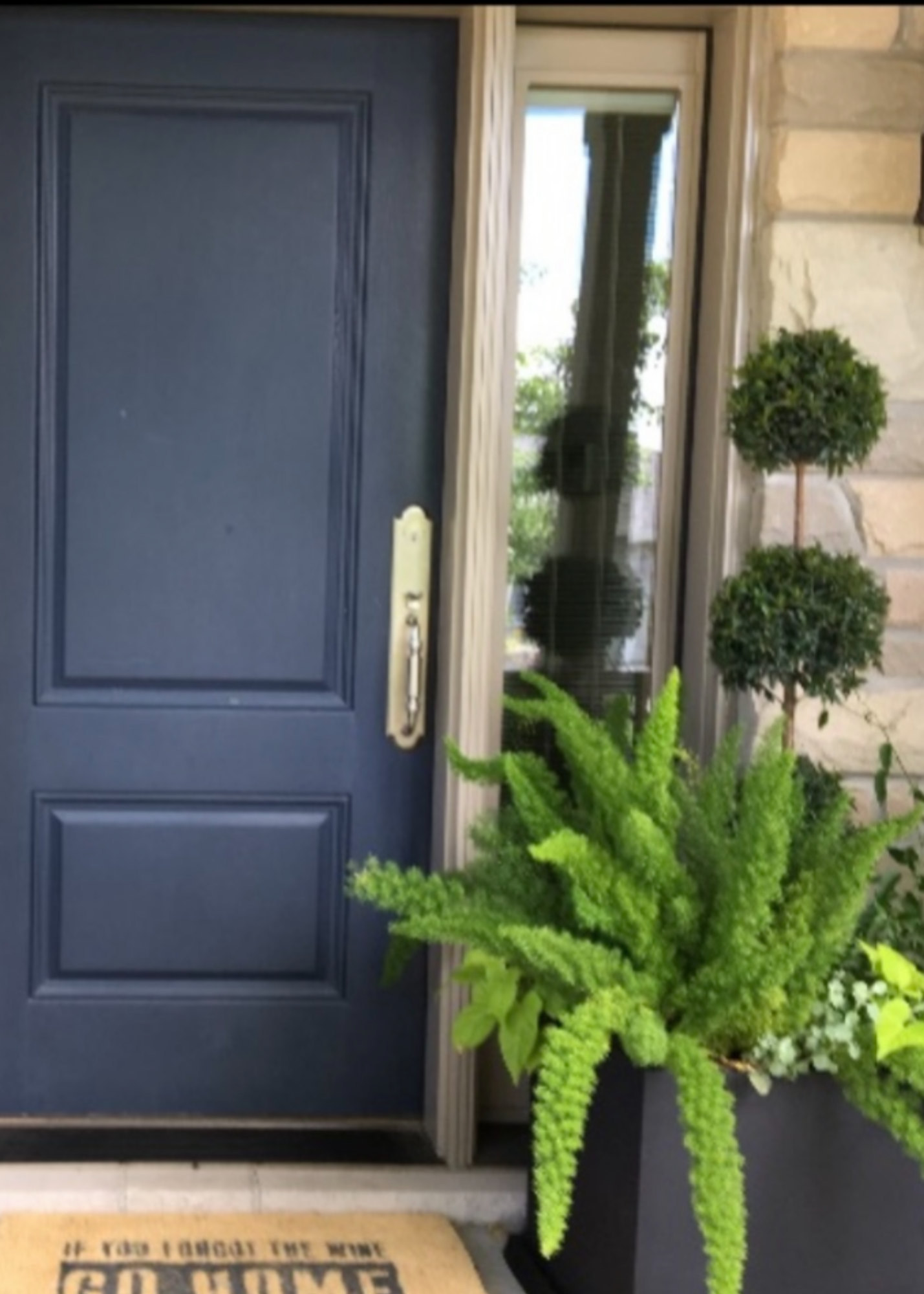 Front door with a black panel, window with drapes, and surrounding plants including a potted fern and two topiary trees, with a welcome mat at the doorstep.