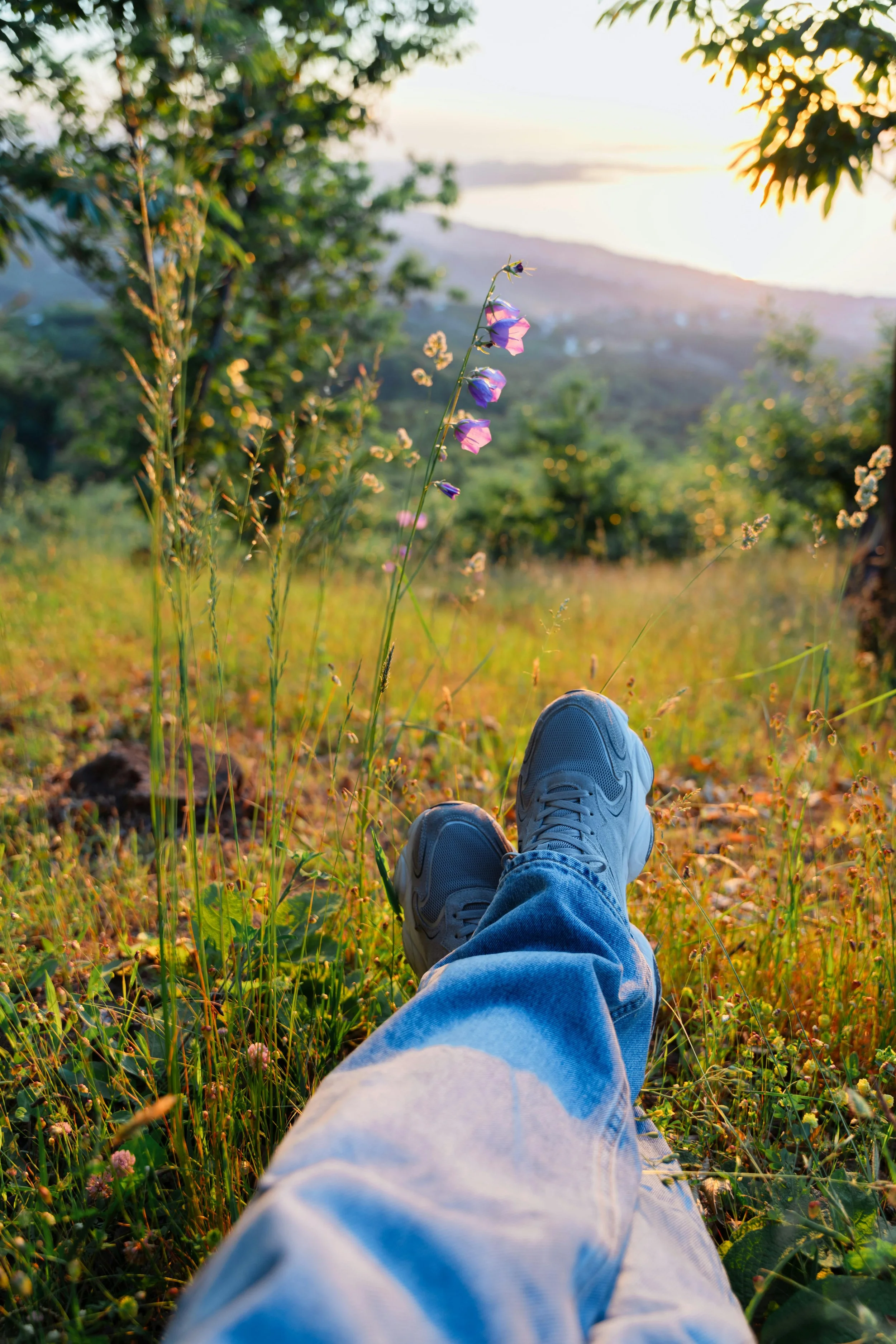 Person sitting on the grass with legs extended, wearing gray sneakers and jeans, in a meadow with wildflowers, trees, and a sunset in the background.