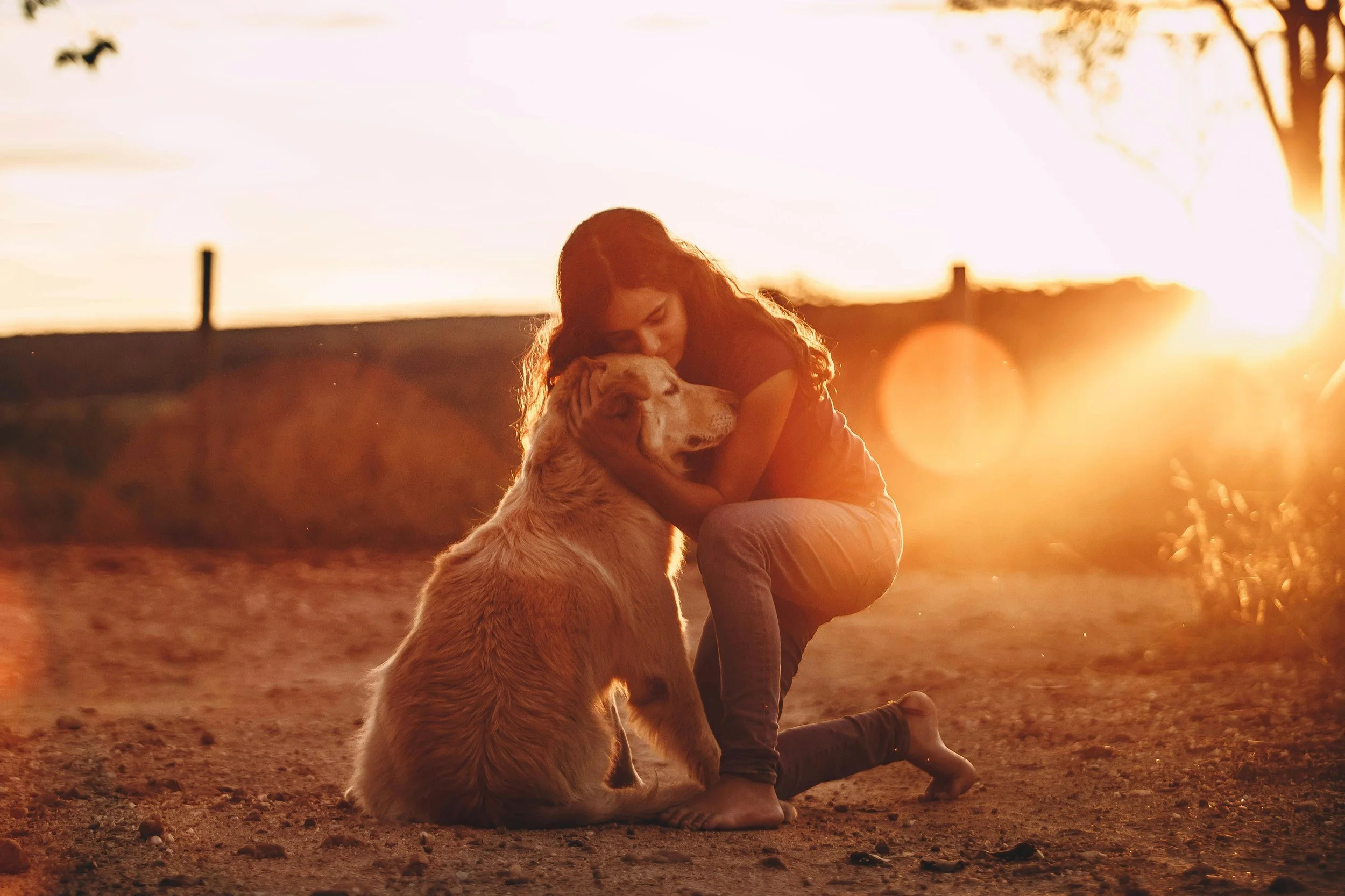 A girl hugging a golden retriever dog at sunset on a dirt path, with warm sunlight creating a glow and lens flare.