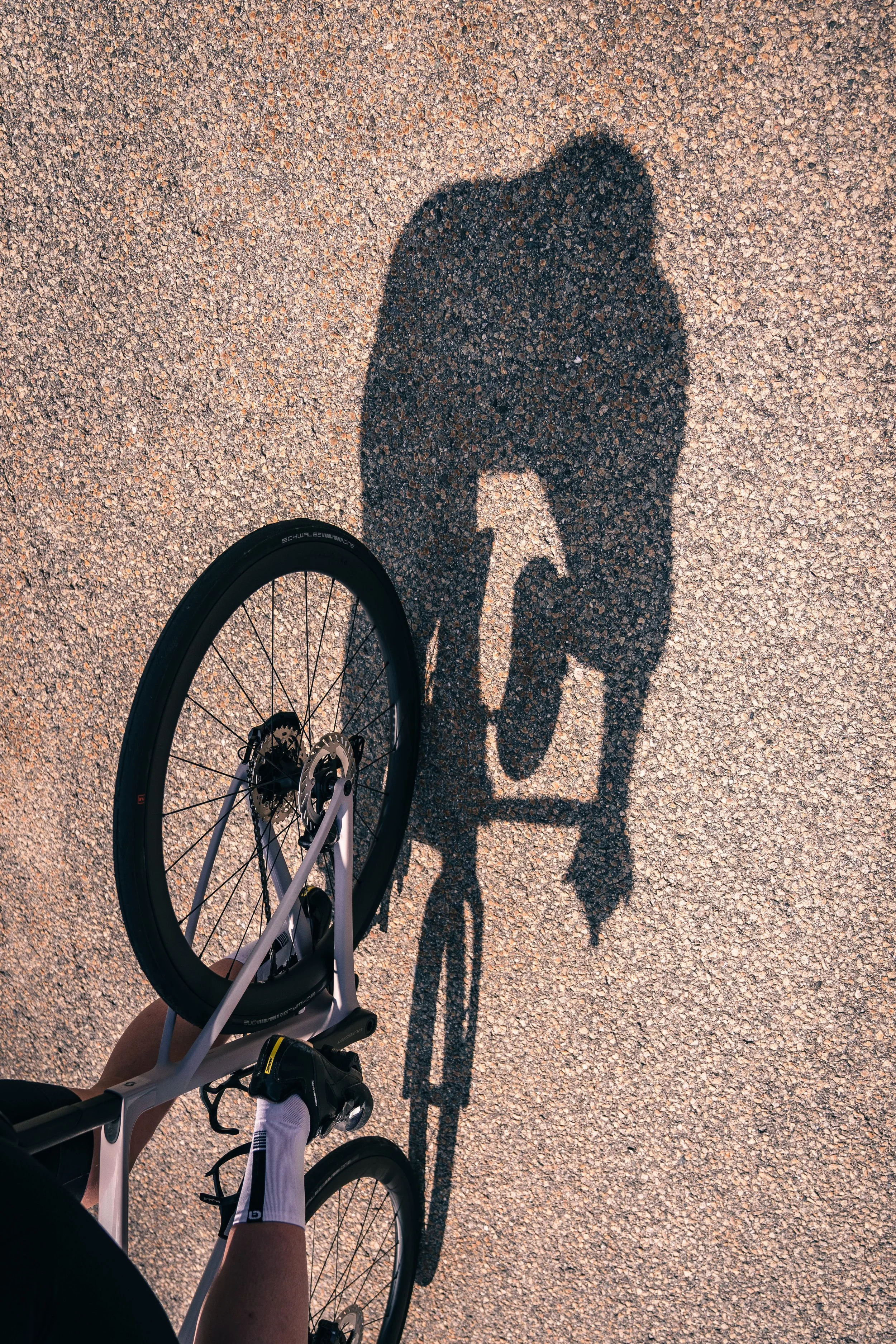 SteffiXScott_©_LukasAnzinger-026 Kopie.jpg