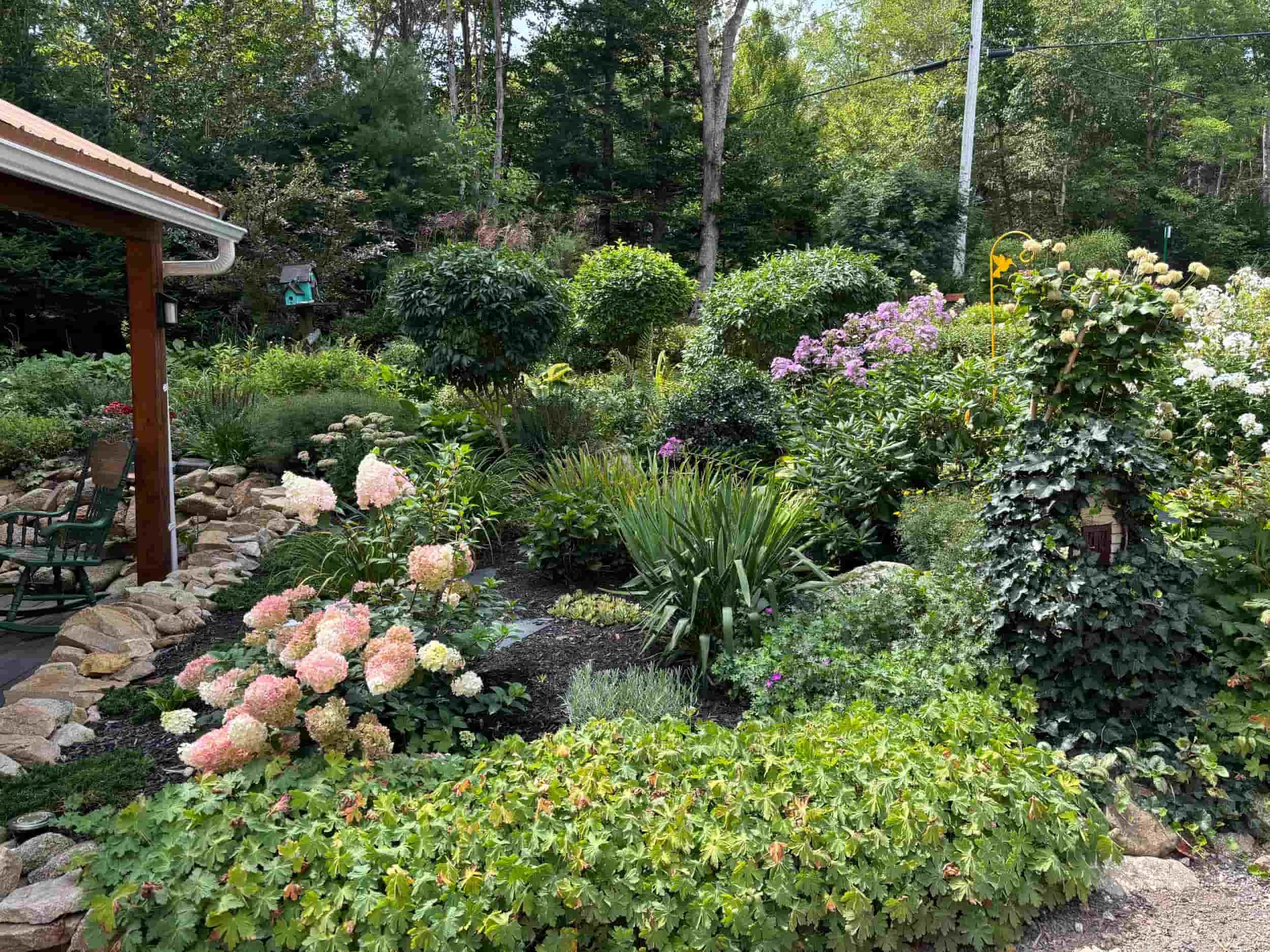 Regenerate alt text copyIconcrossIconBlue A lush garden with blooming flowers, green shrubs, and trees beside a house patio with chairs and a stone border.