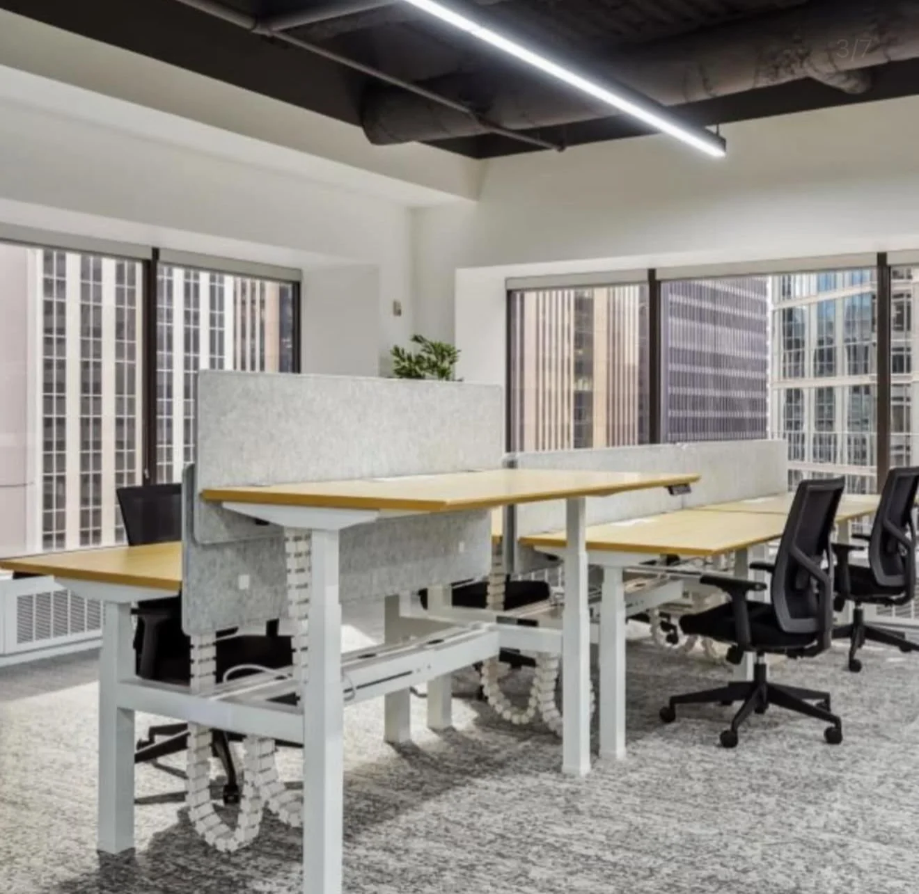 WhatsApp Image 2026-03-jj11 at 6.36.55 PM.jpeg