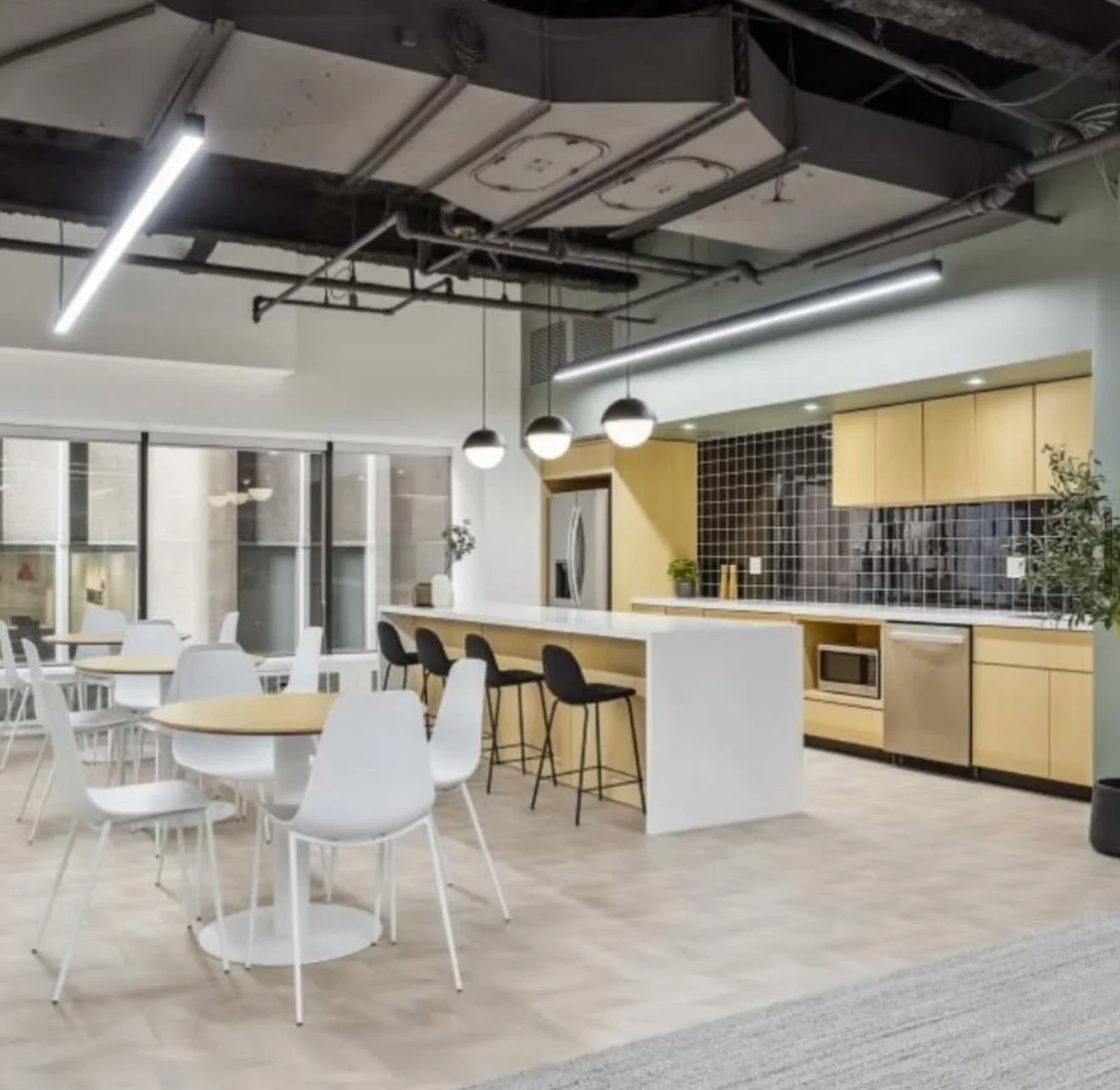 WhatsApp Image 2026-03-11 at 6.36.55 mmPM.jpeg