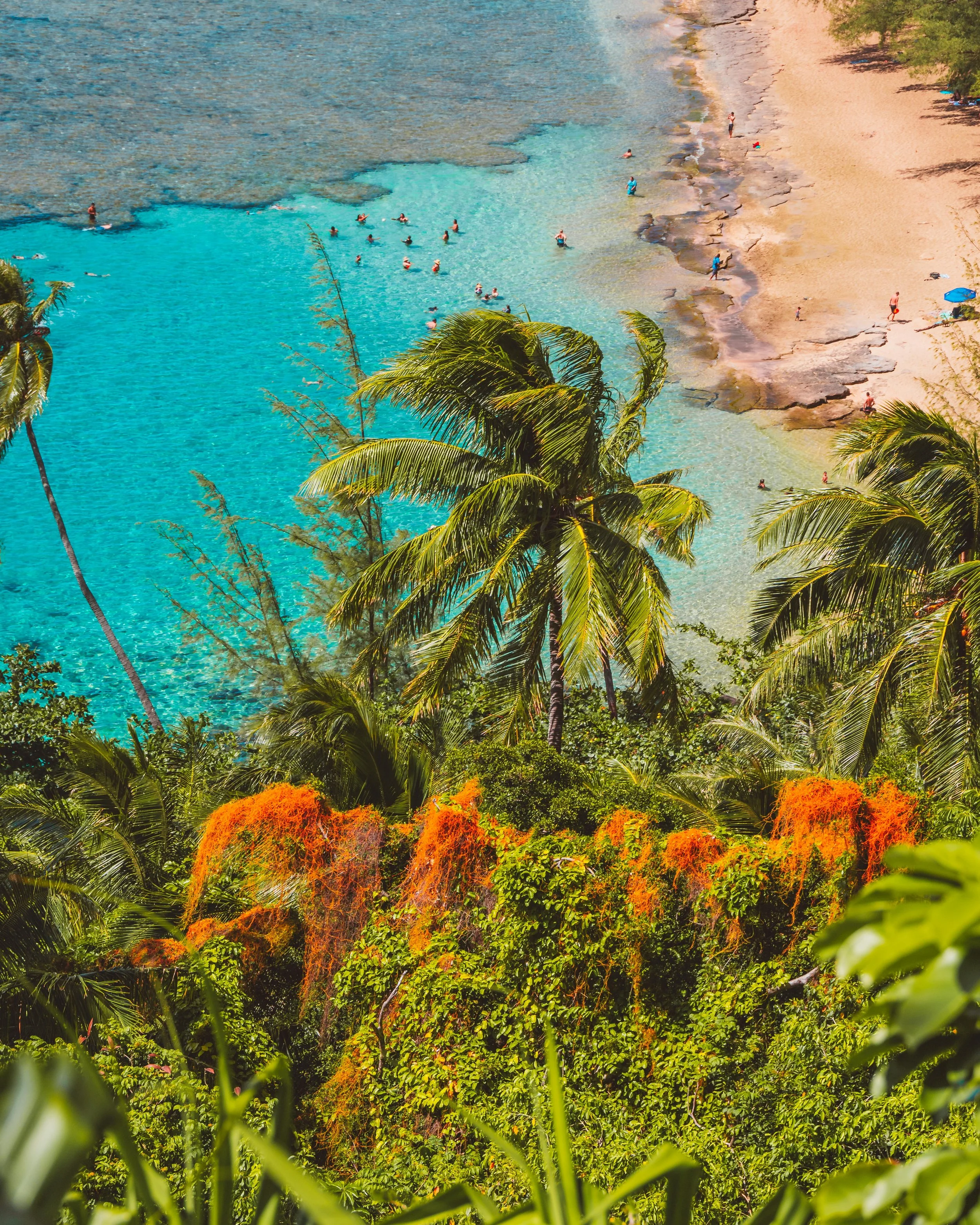 Group vs Individual Clinical Supervision