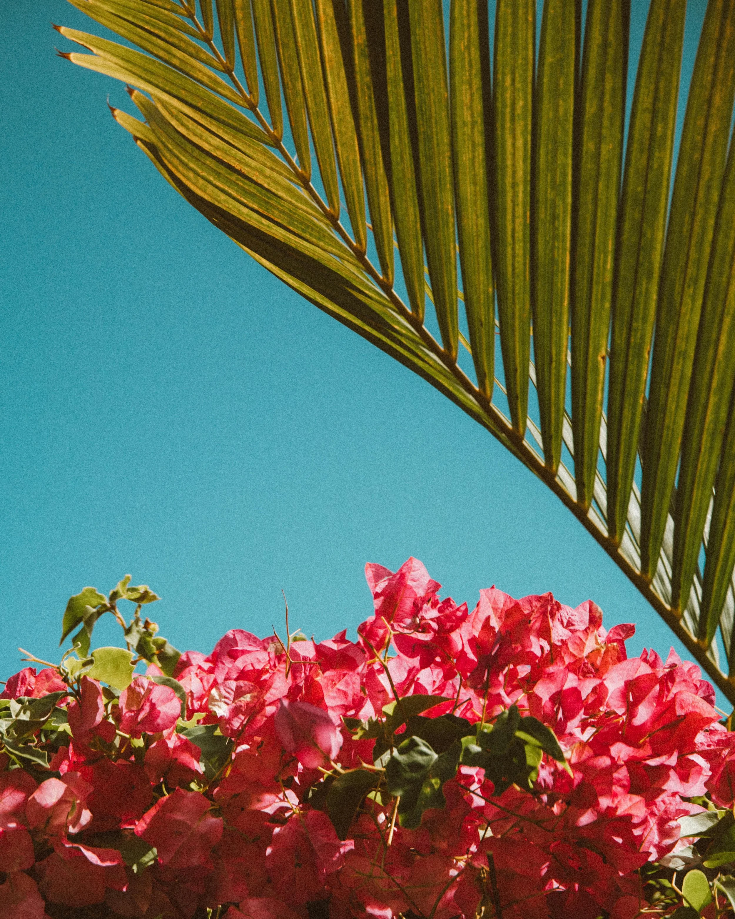 Individual vs Group Clinical Supervision: What’s the Difference?