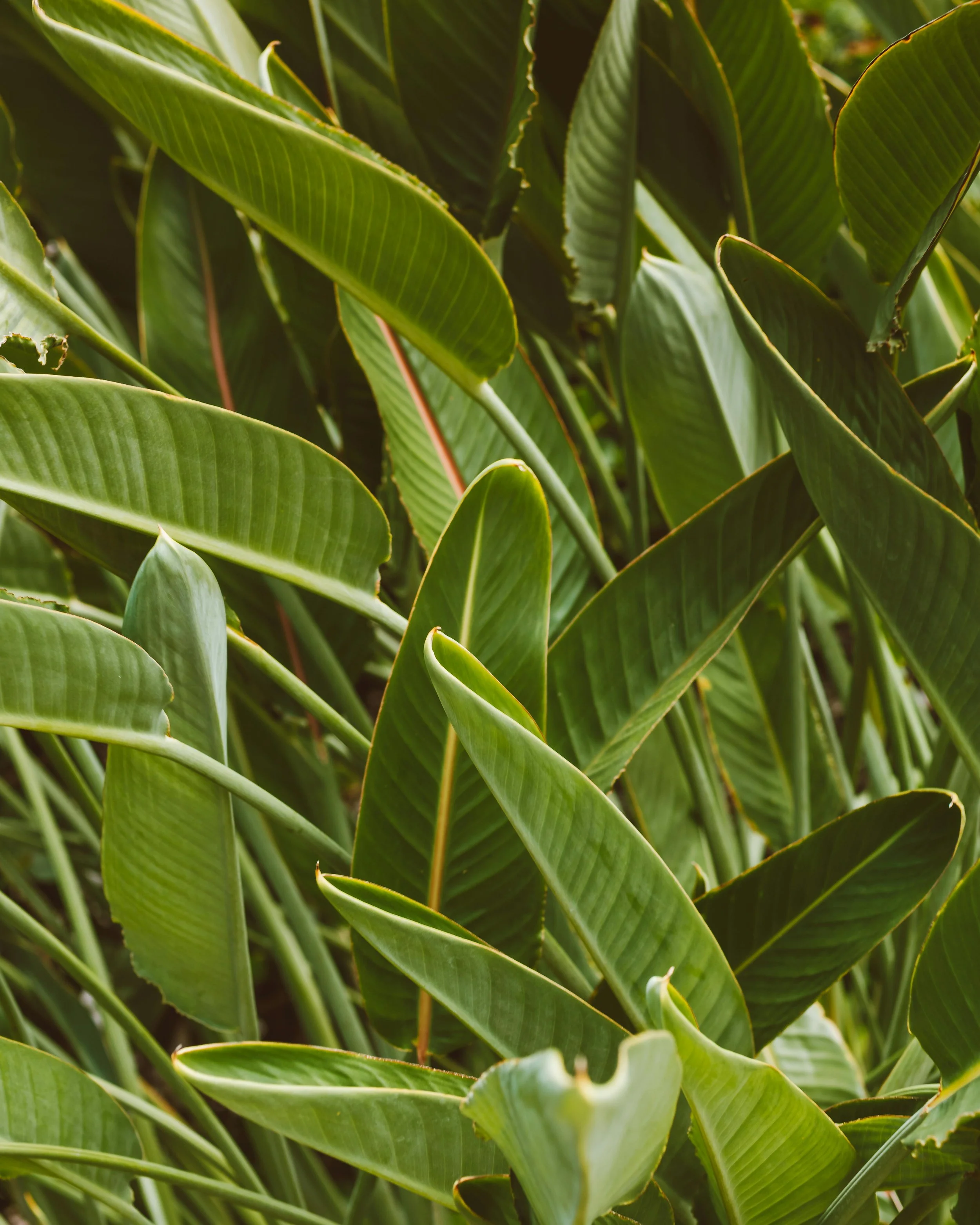 Questions to Ask Before Choosing a Clinical Supervisor